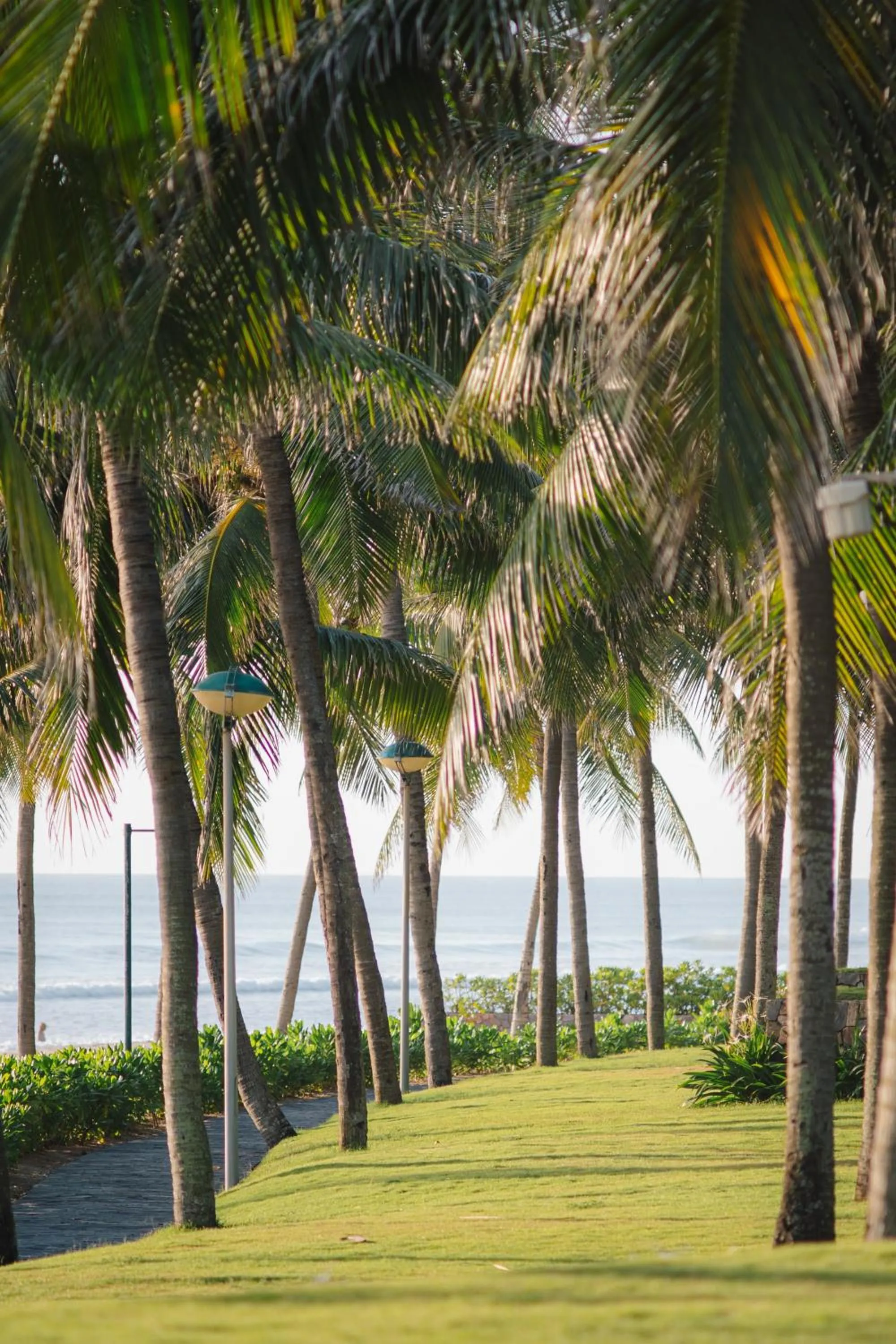 Garden in Danang Marriott Resort & Spa