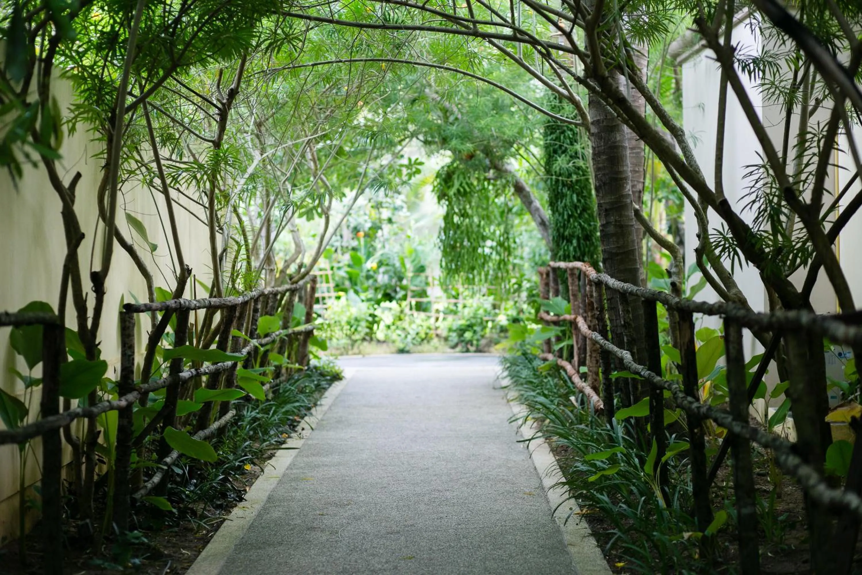 Garden in Chantaramas Beach Resort Koh Phangan