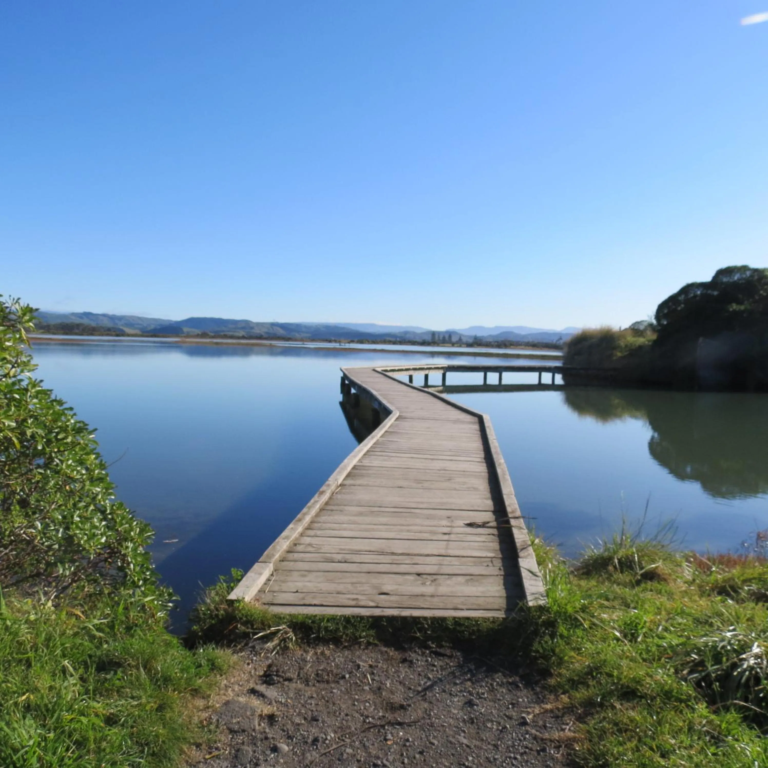 Natural landscape in ASURE Fairley Motor Lodge
