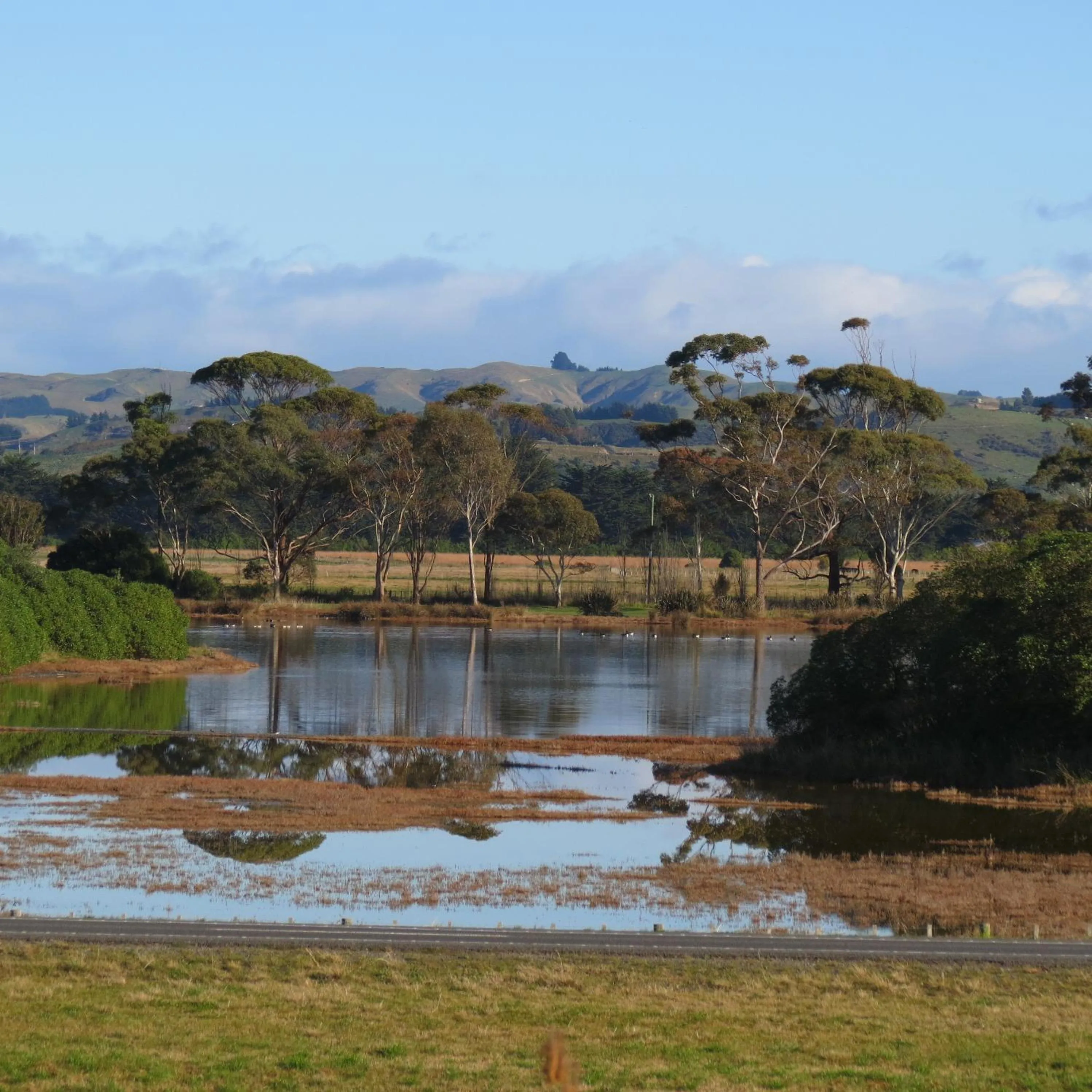 View (from property/room) in ASURE Fairley Motor Lodge