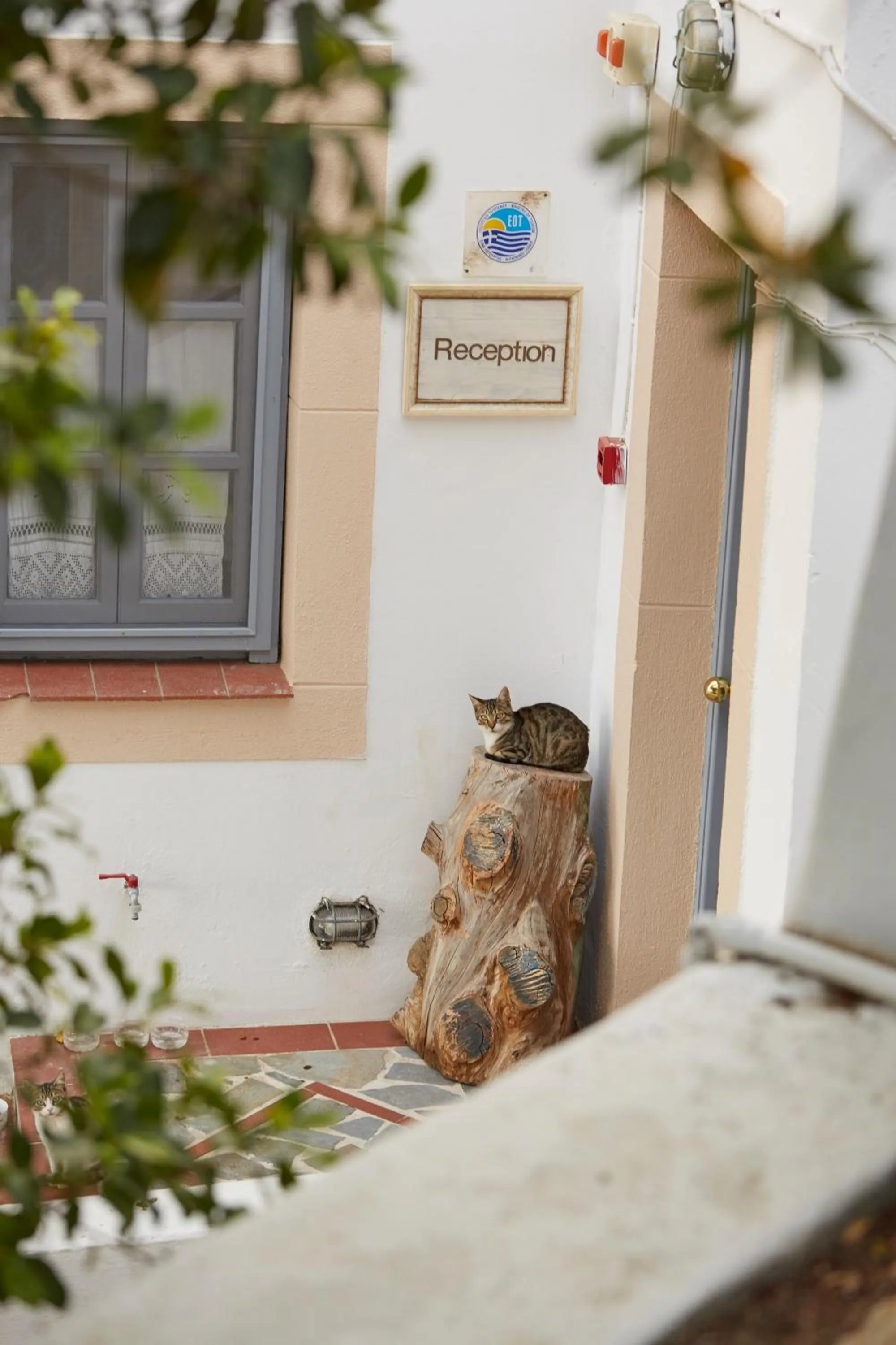 9 Muses Exclusive Apartments