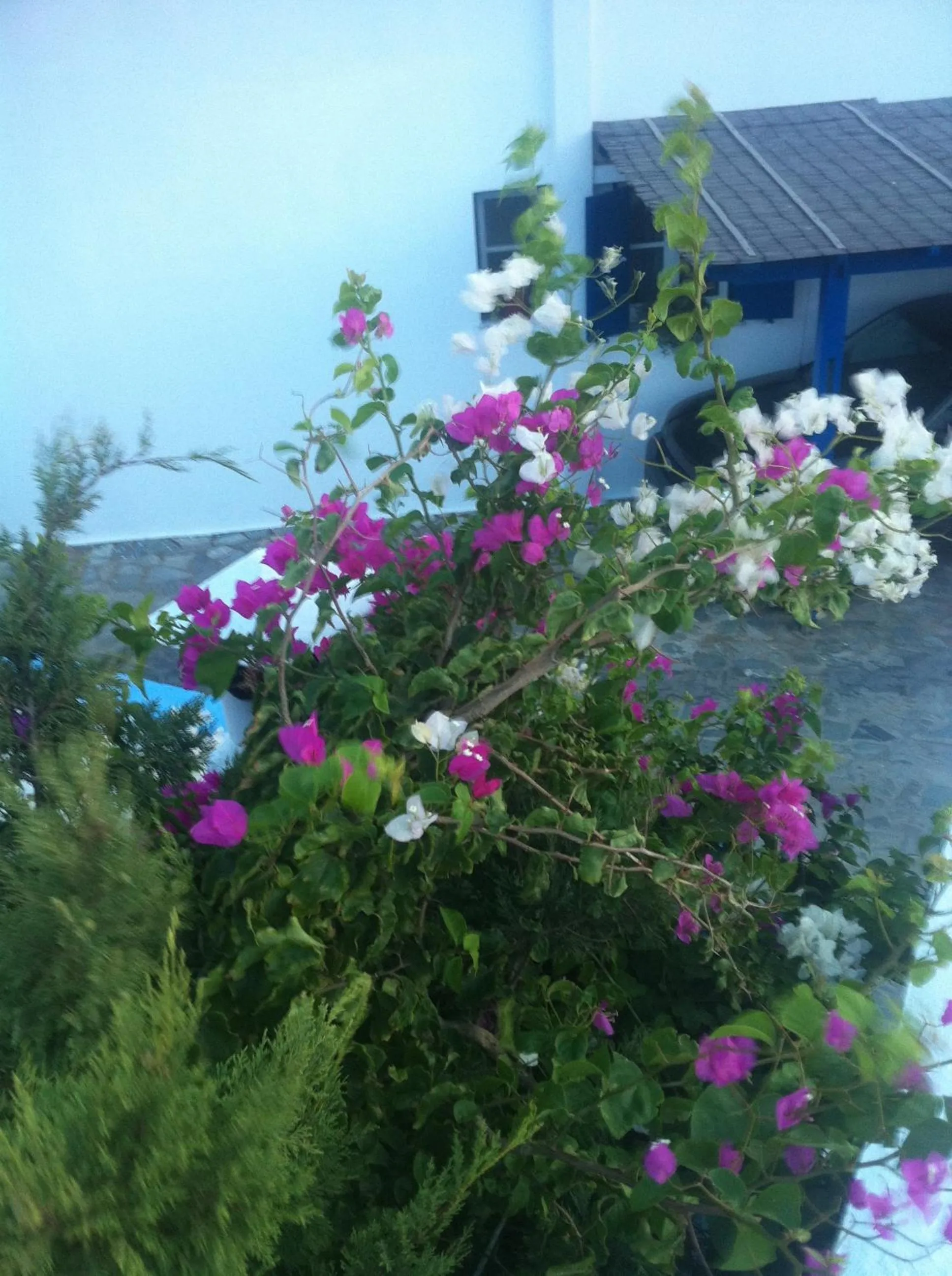 Facade/entrance in Kionia Galini Bangalows