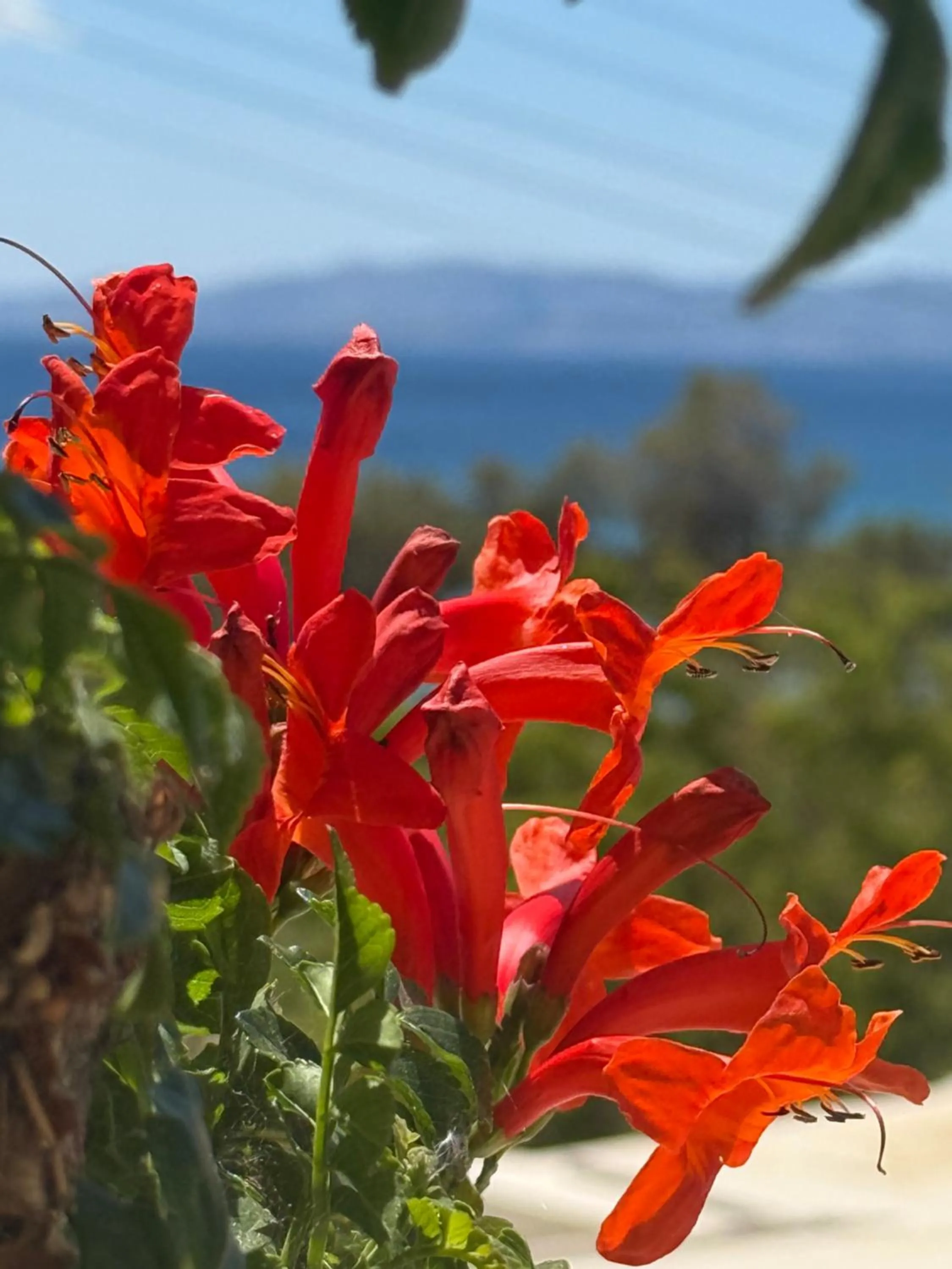 Kionia Galini Bangalows