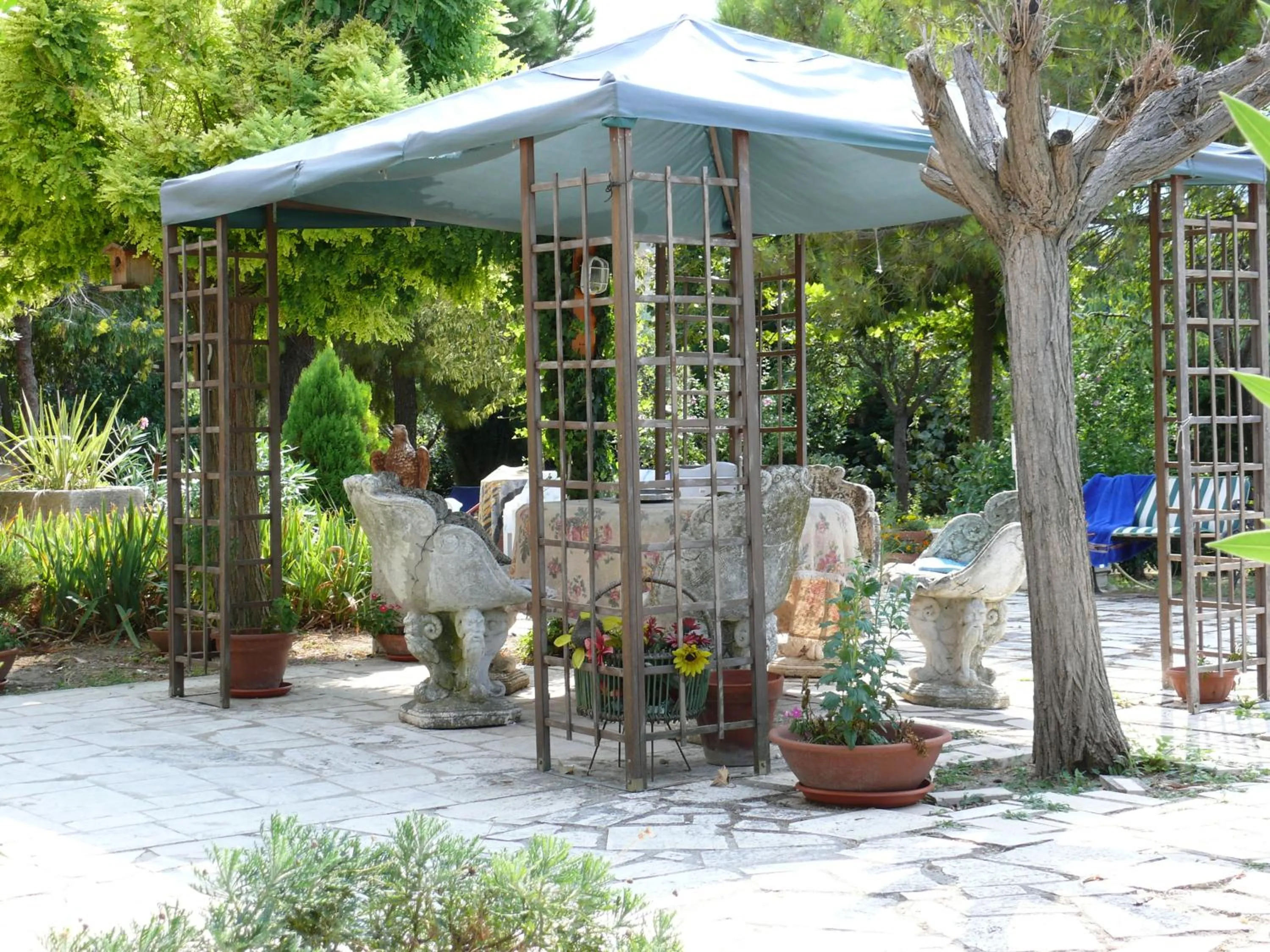 Bed&Breakfast Giardino Agritourist