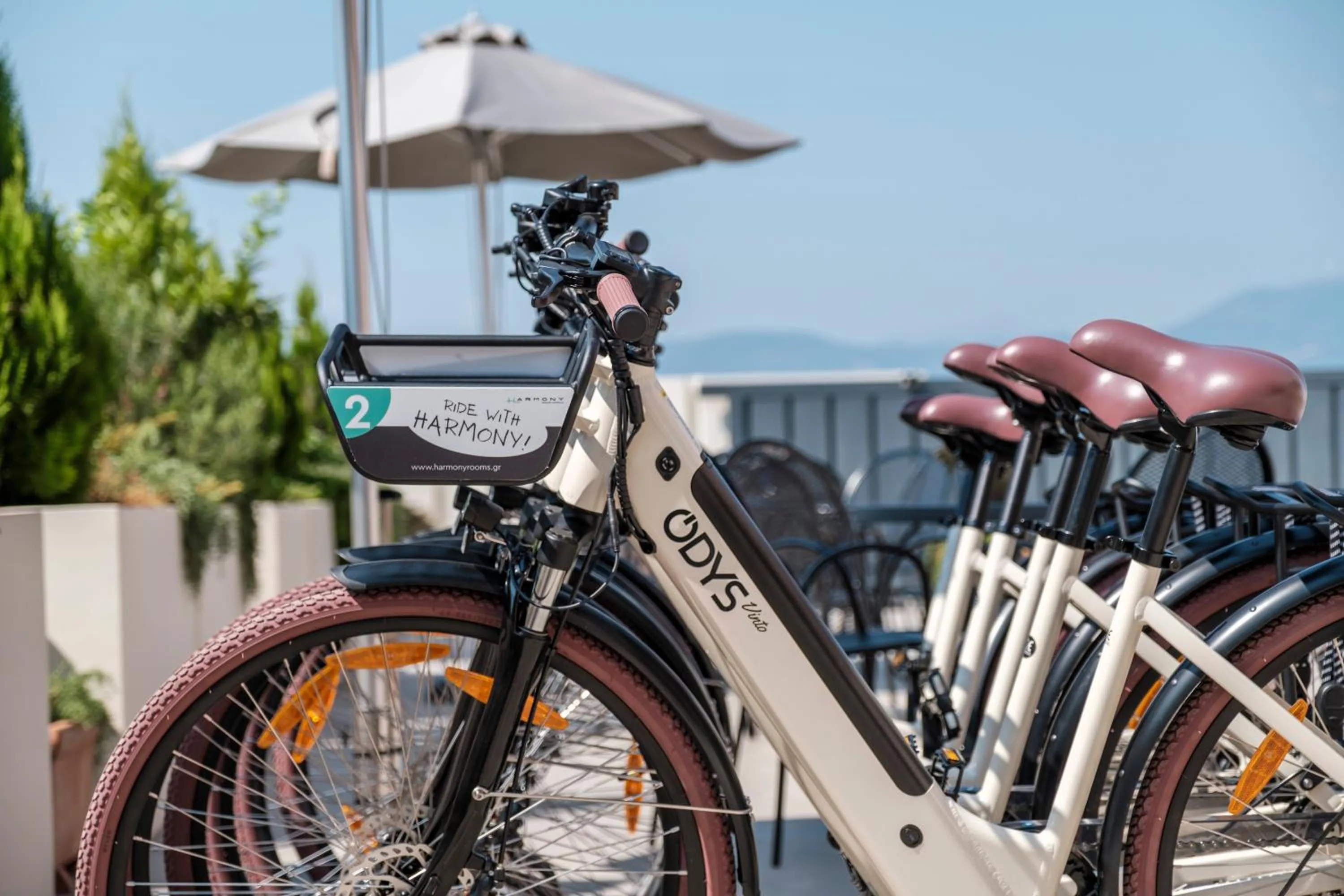 Activities in Harmony Hotel Nafplio