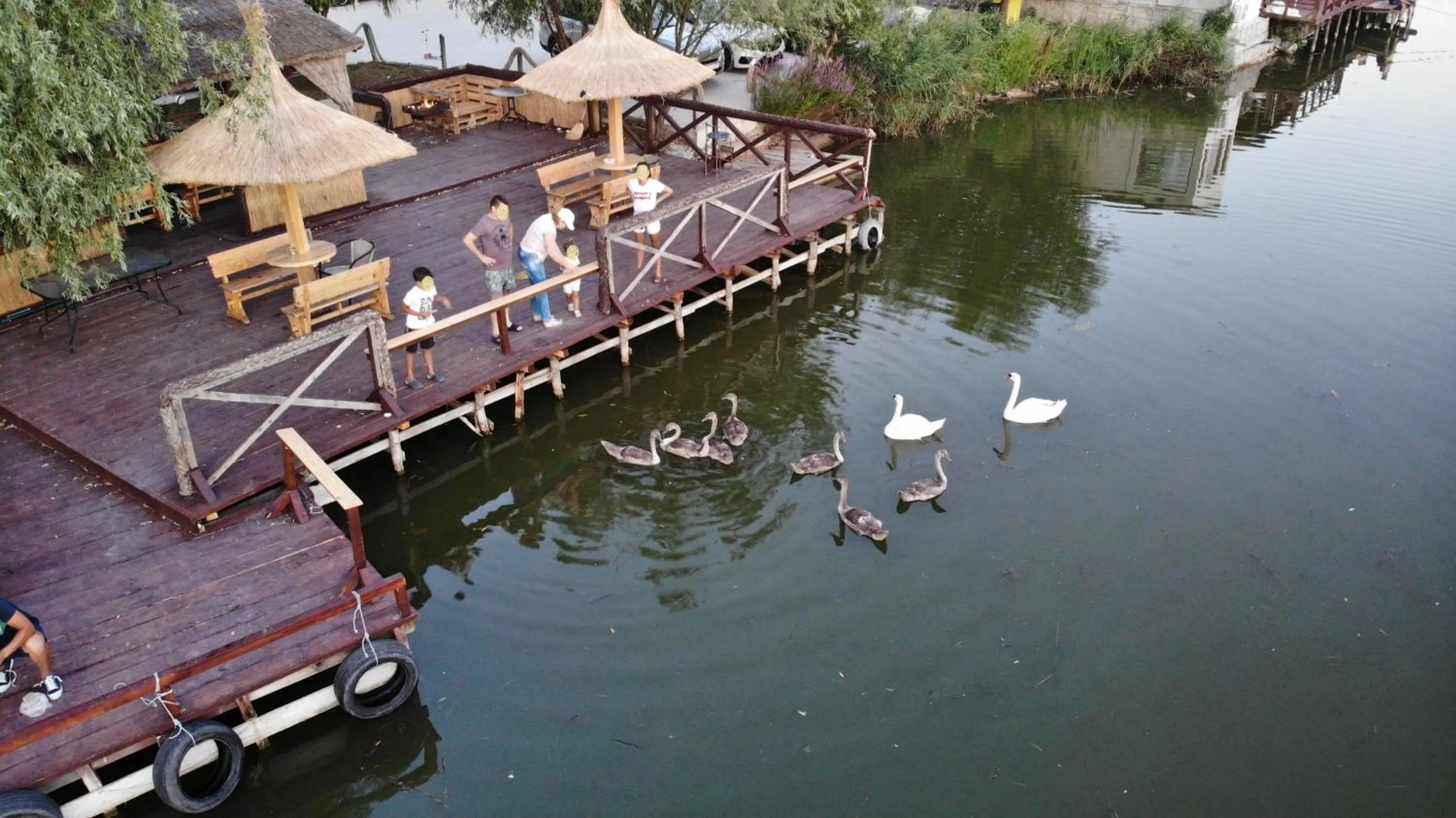 Pets in Club de Vacanta Corabia Piratilor - Family Resort Mamaia Nord