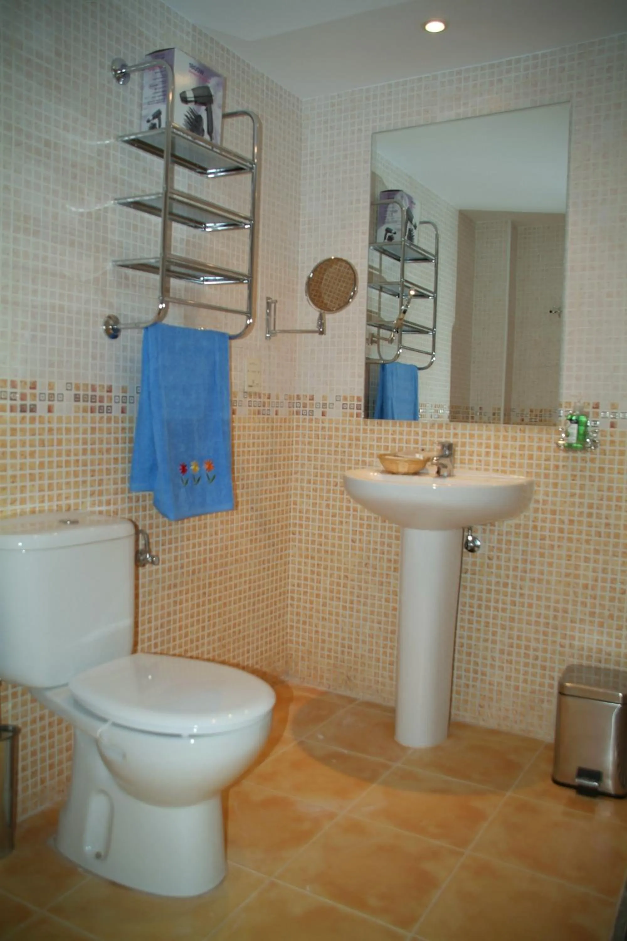 Toilet in Apartahotel Rural CollaRubio Luxury