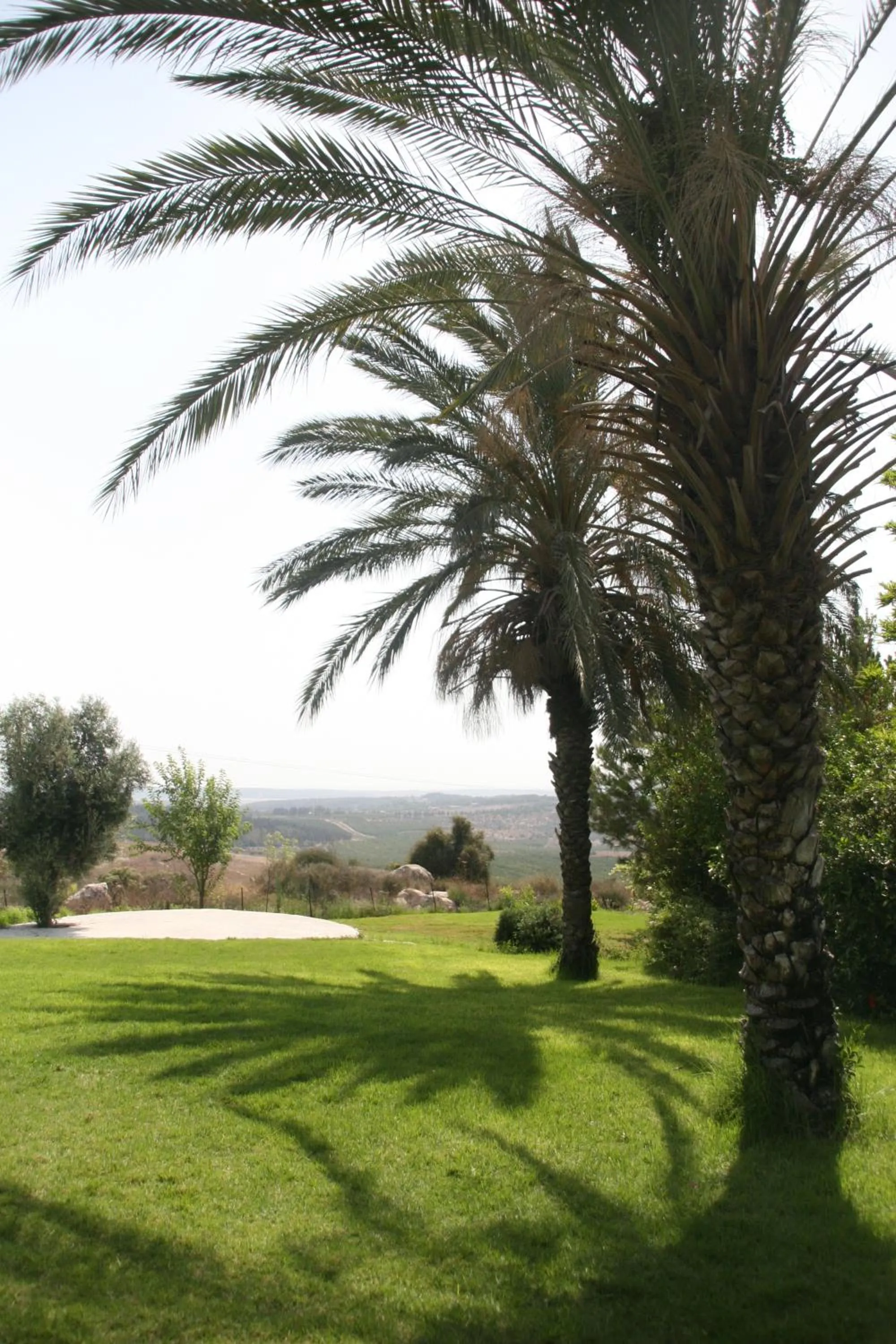 Natural landscape in Neve Shalom Hotel