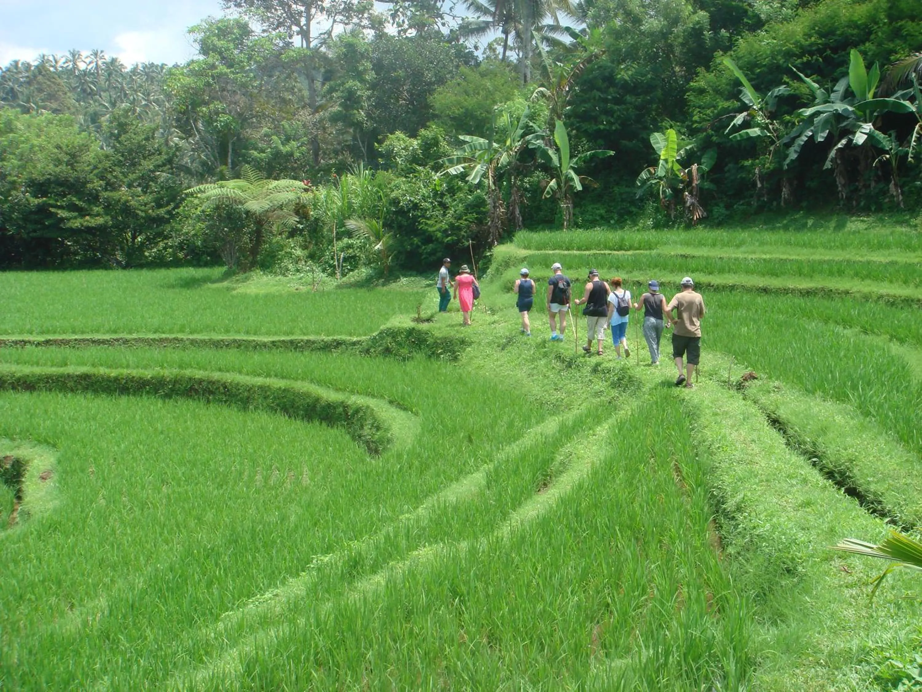 Natural landscape in Cempaka Belimbing Villa