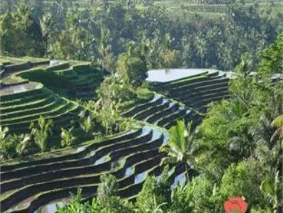 Area and facilities in Cempaka Belimbing Villa