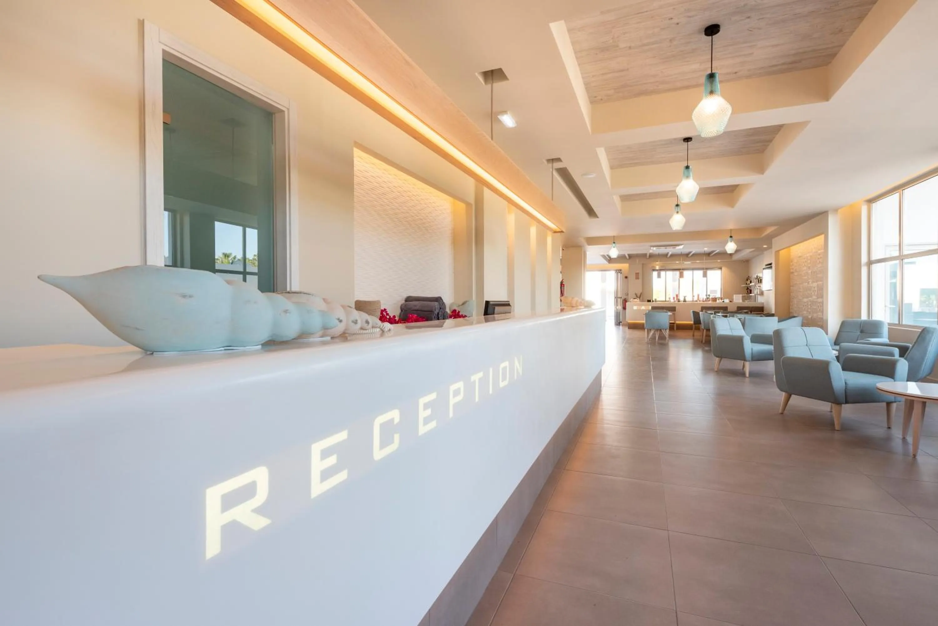 Lobby or reception in Apollon Windmill Boutique Hotel - Adults Only