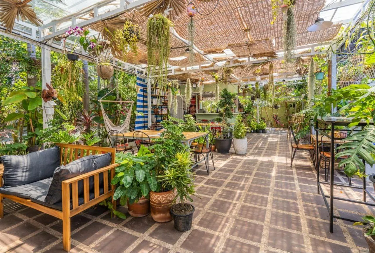 Restaurant/places to eat in Sanssouci Kep