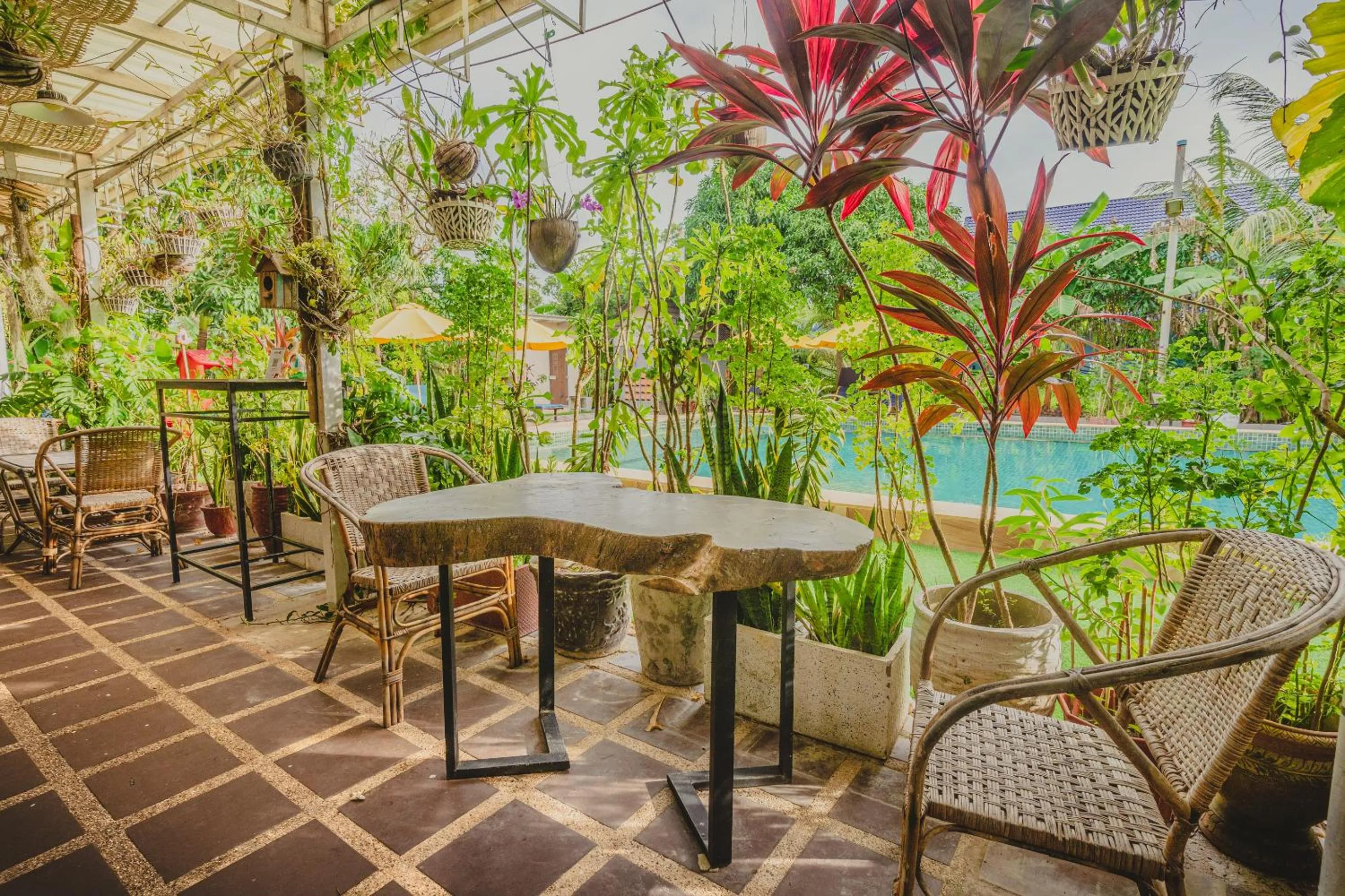 Restaurant/places to eat in Sanssouci Kep