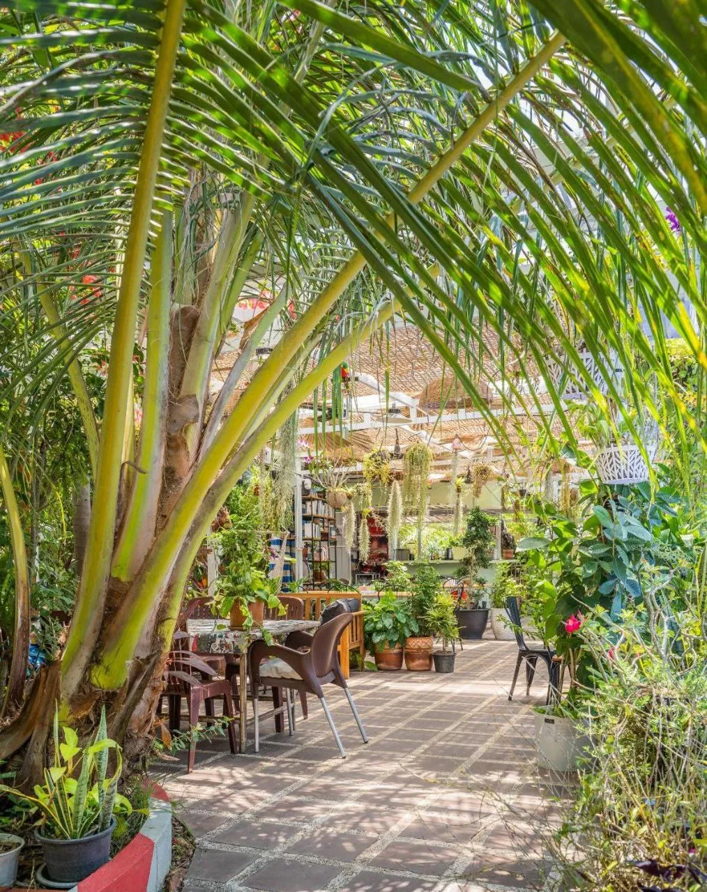 Lounge or bar in Sanssouci Kep