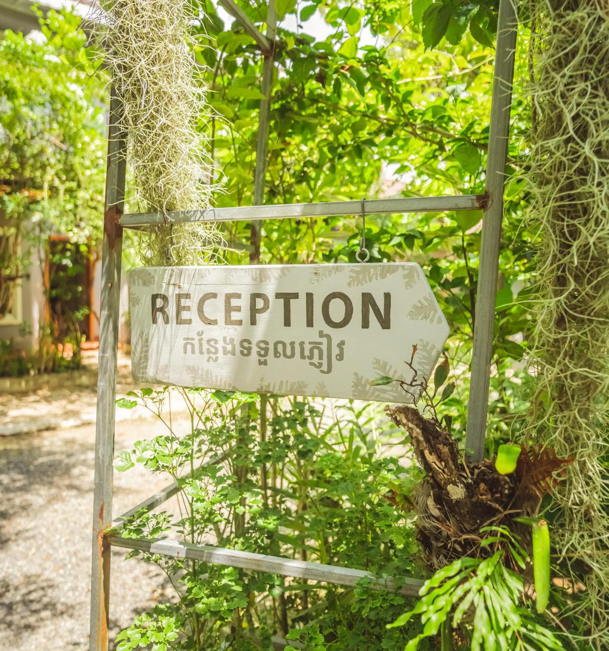 Garden in Sanssouci Kep