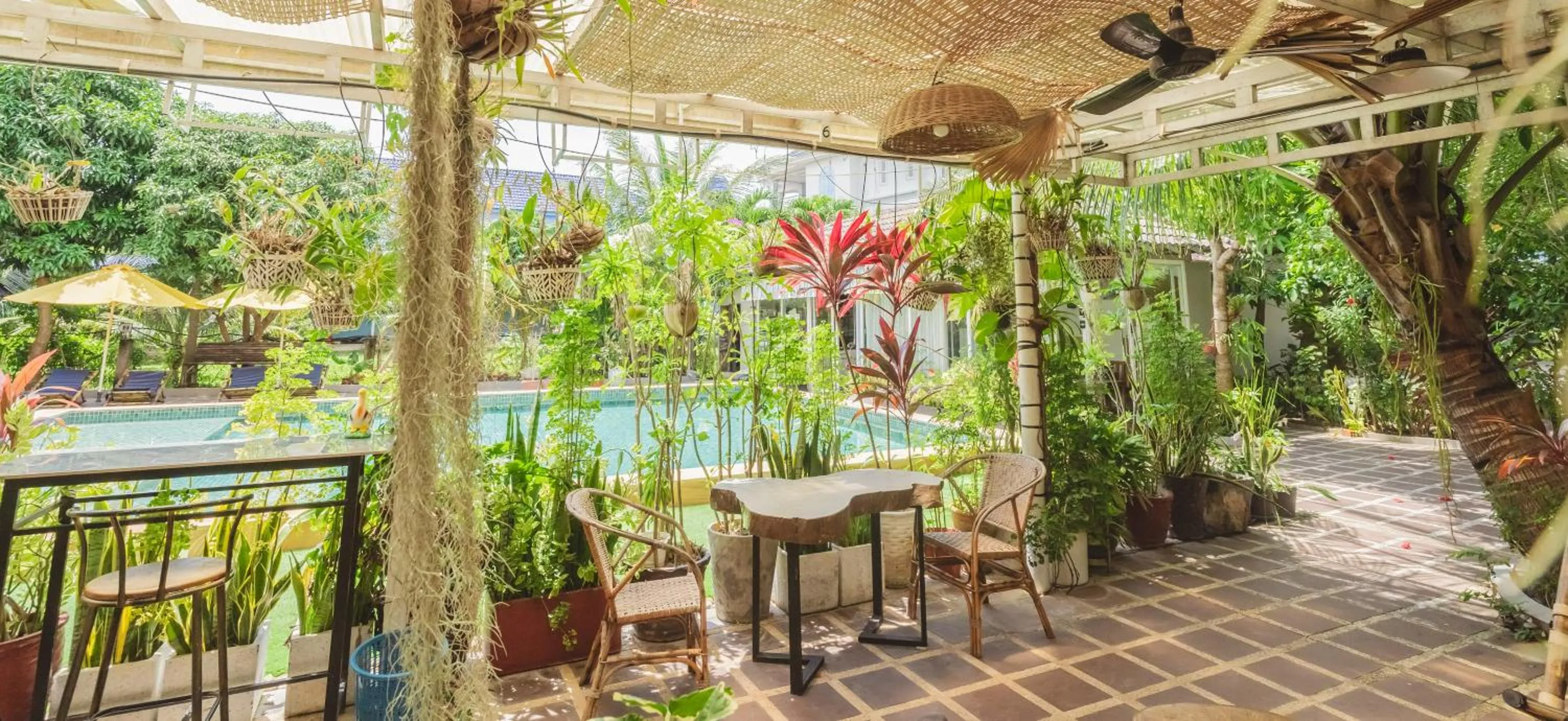 Restaurant/places to eat in Sanssouci Kep