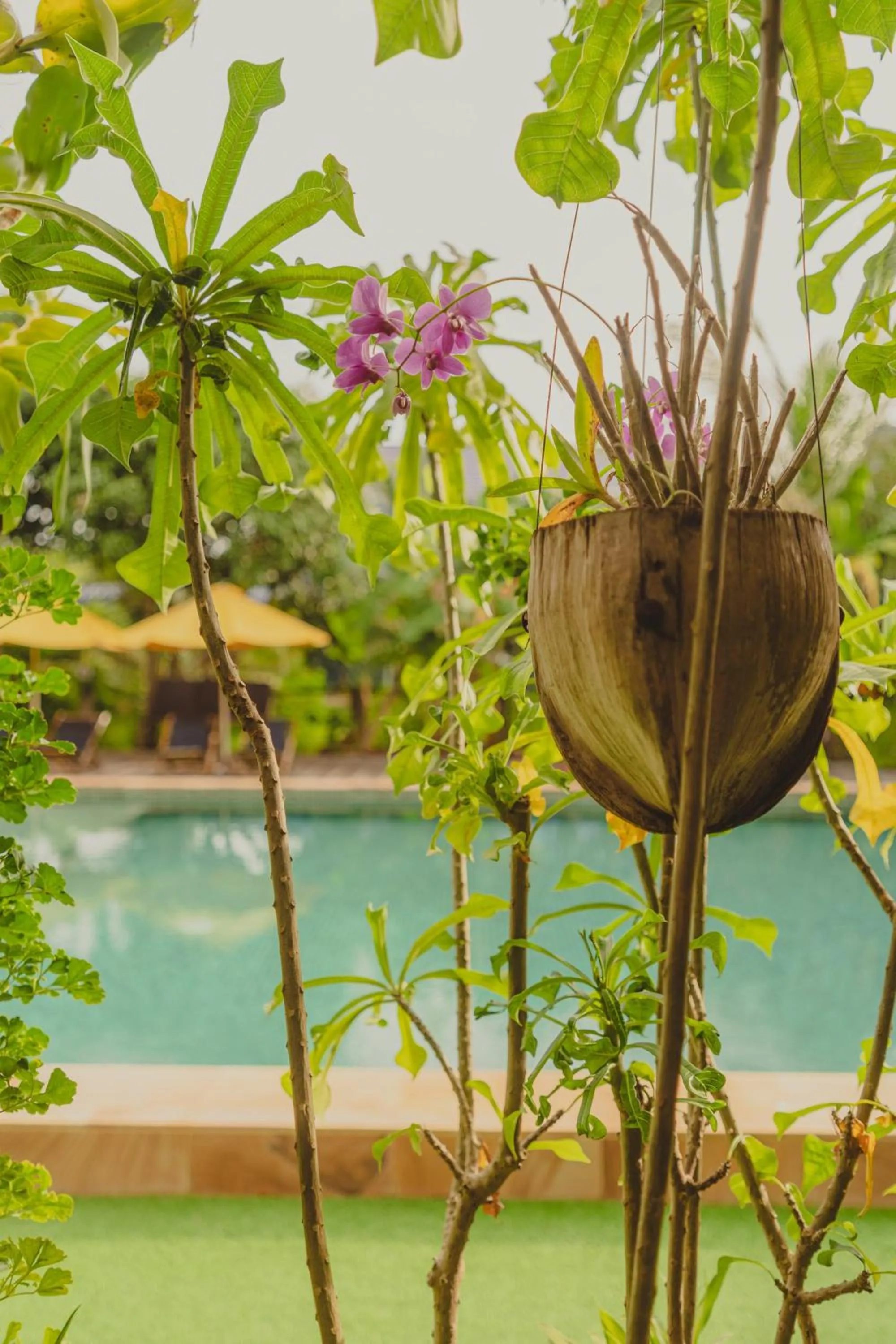 Swimming pool in Sanssouci Kep