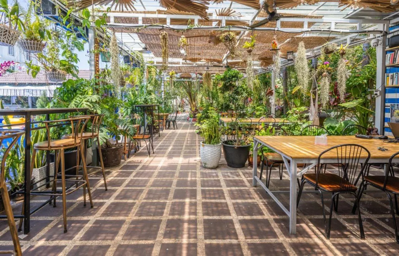 Restaurant/places to eat in Sanssouci Kep