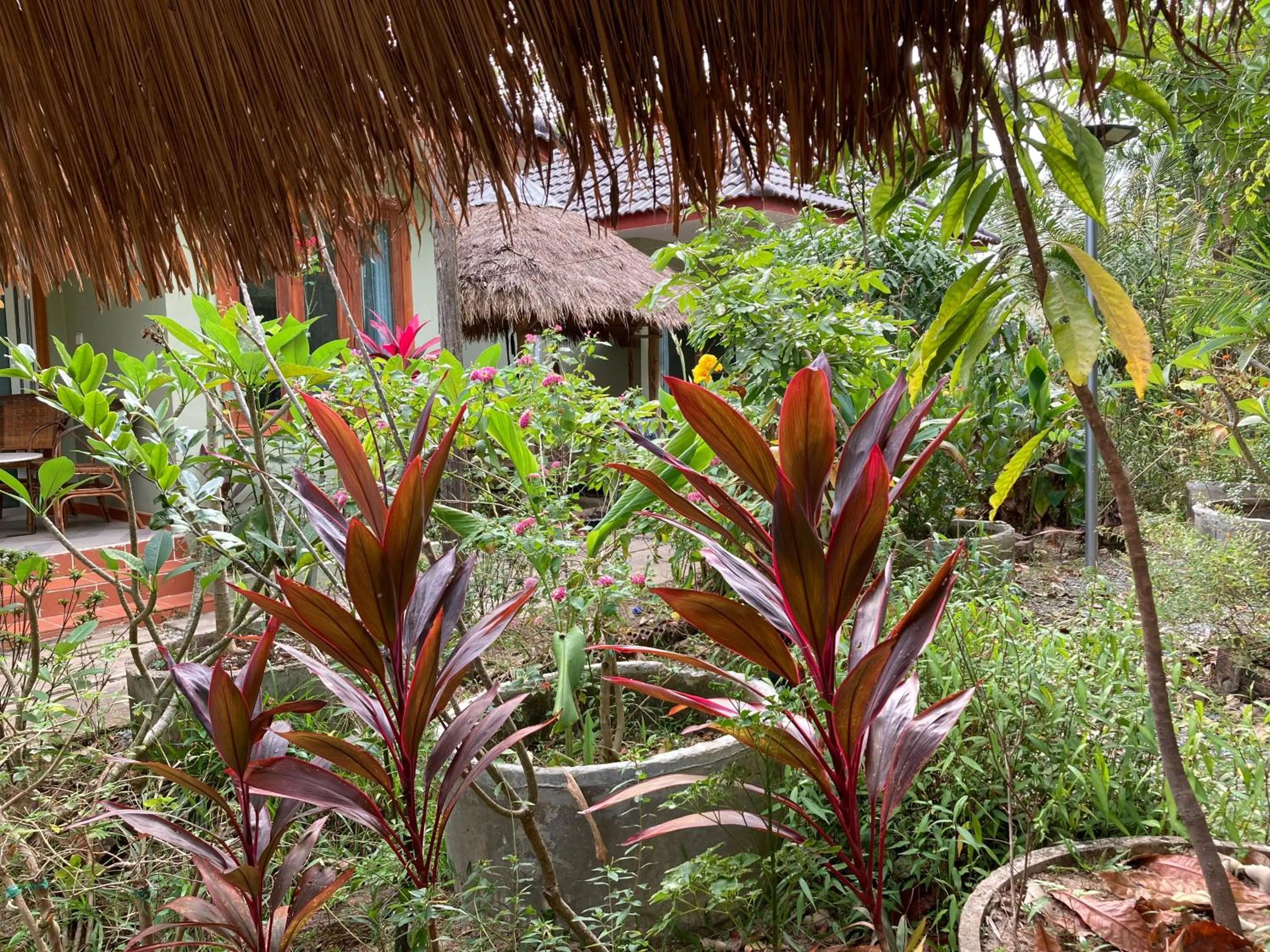 Garden in Sanssouci Kep