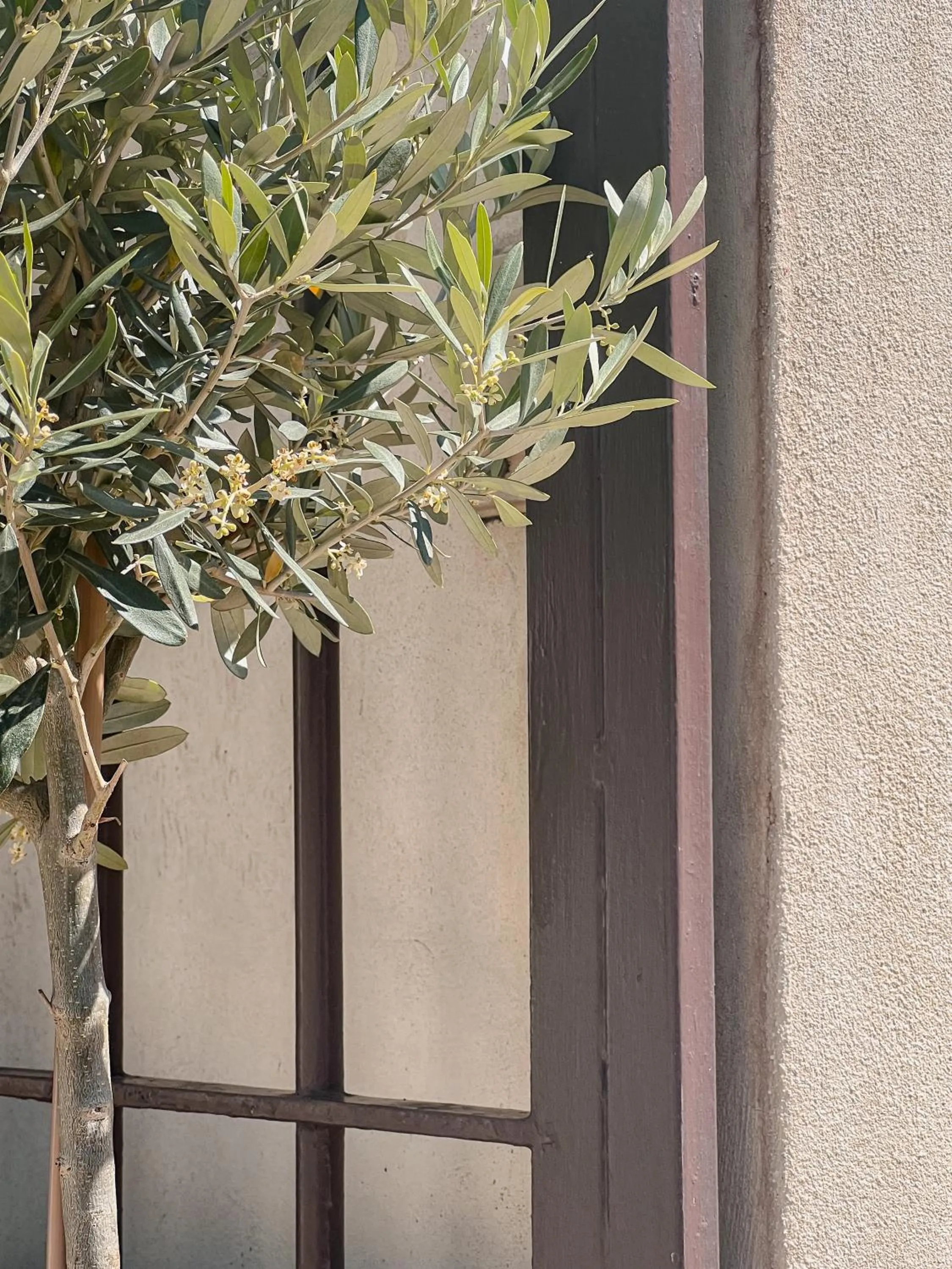 Hôtel Les Magnanarelles