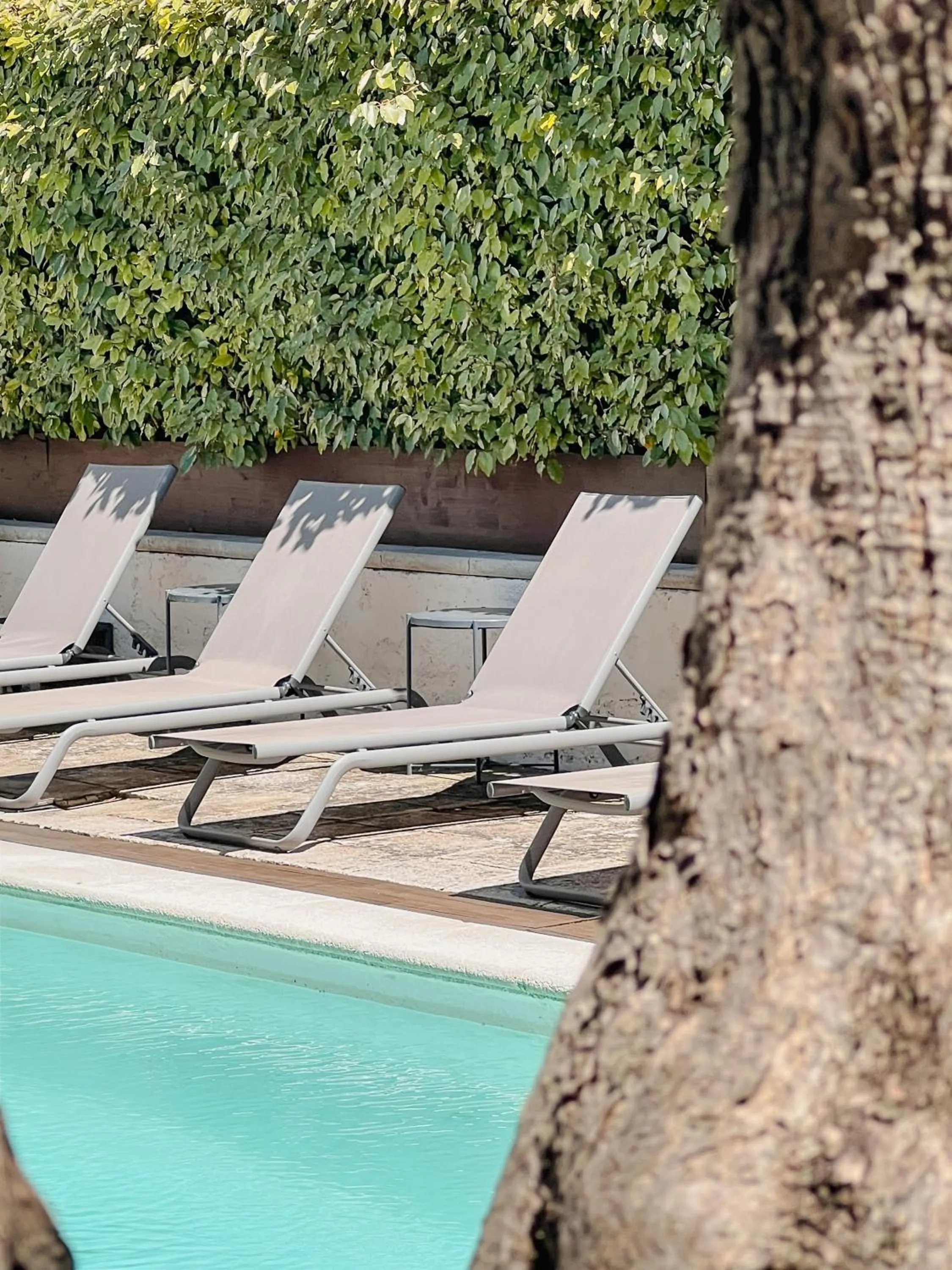 Hôtel Les Magnanarelles