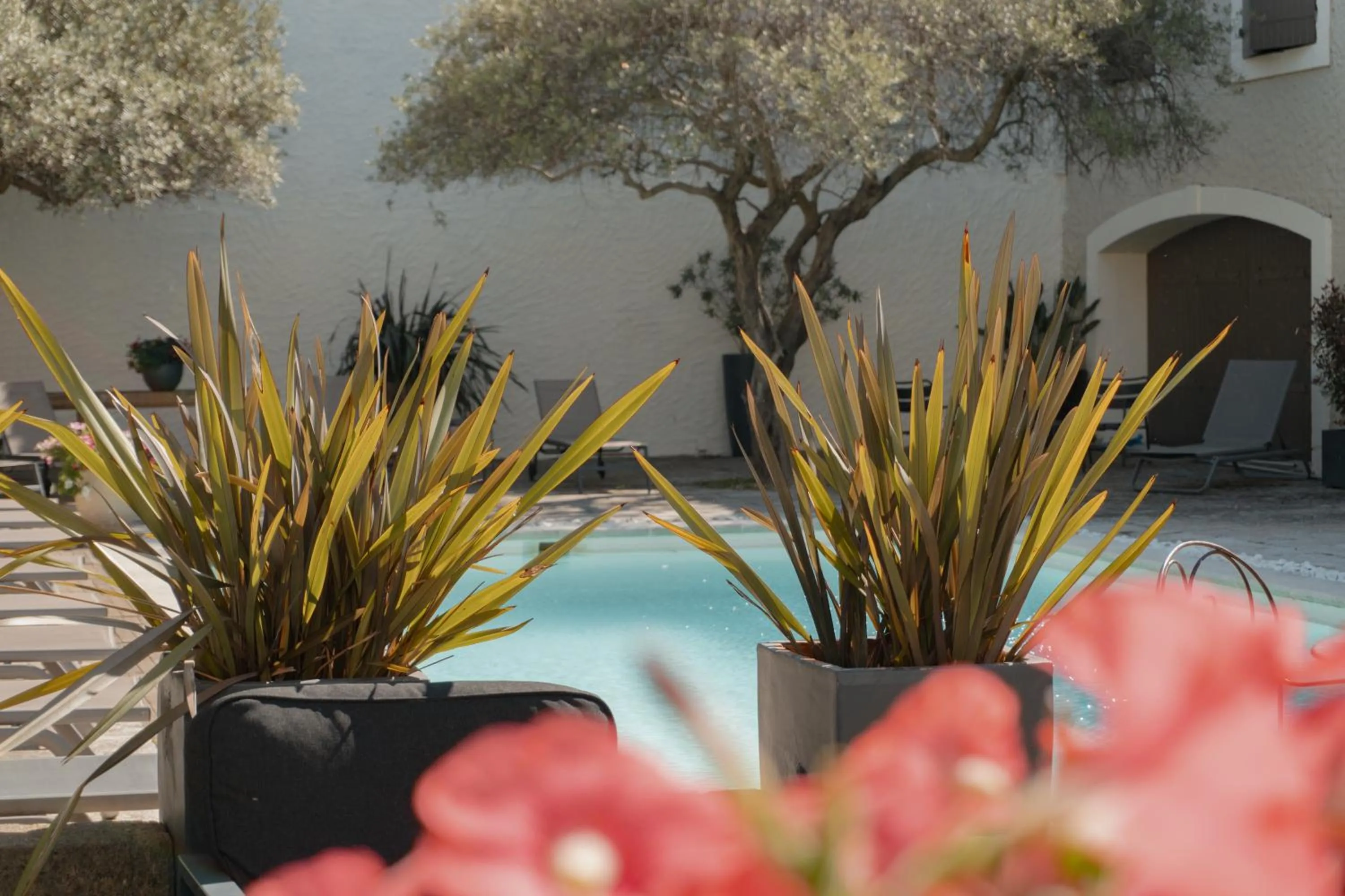 Hôtel Les Magnanarelles