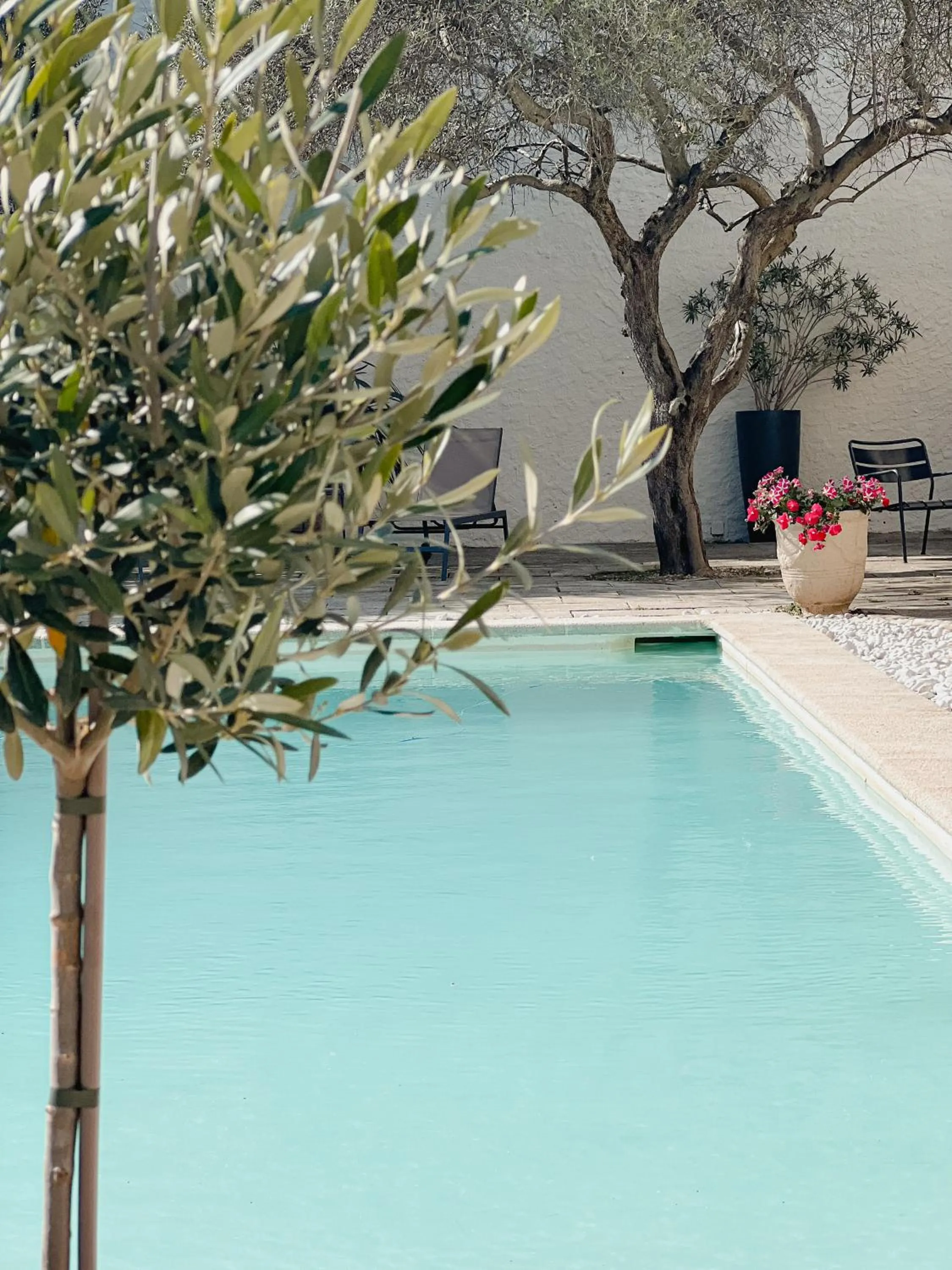 Hôtel Les Magnanarelles