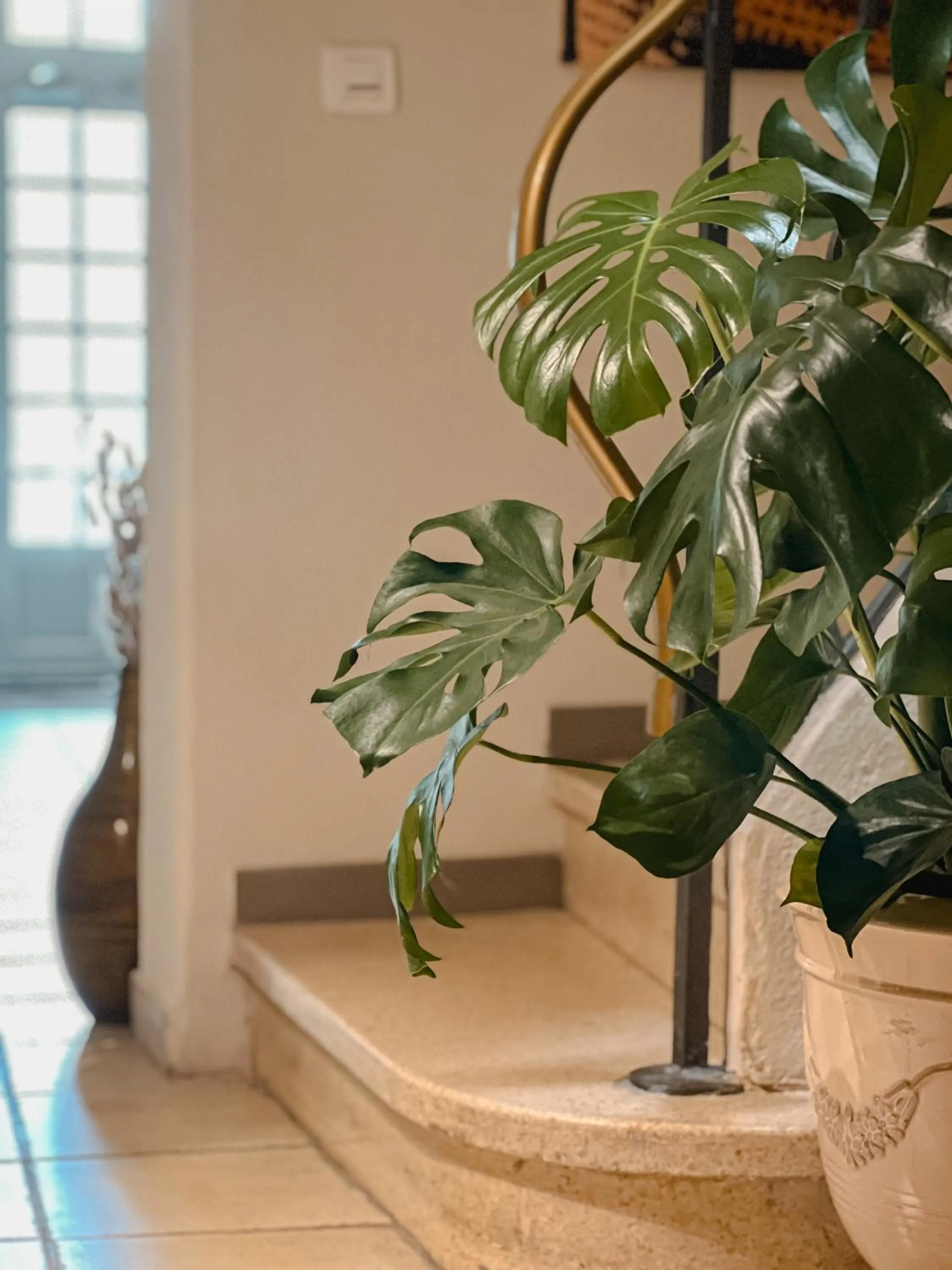 Hôtel Les Magnanarelles