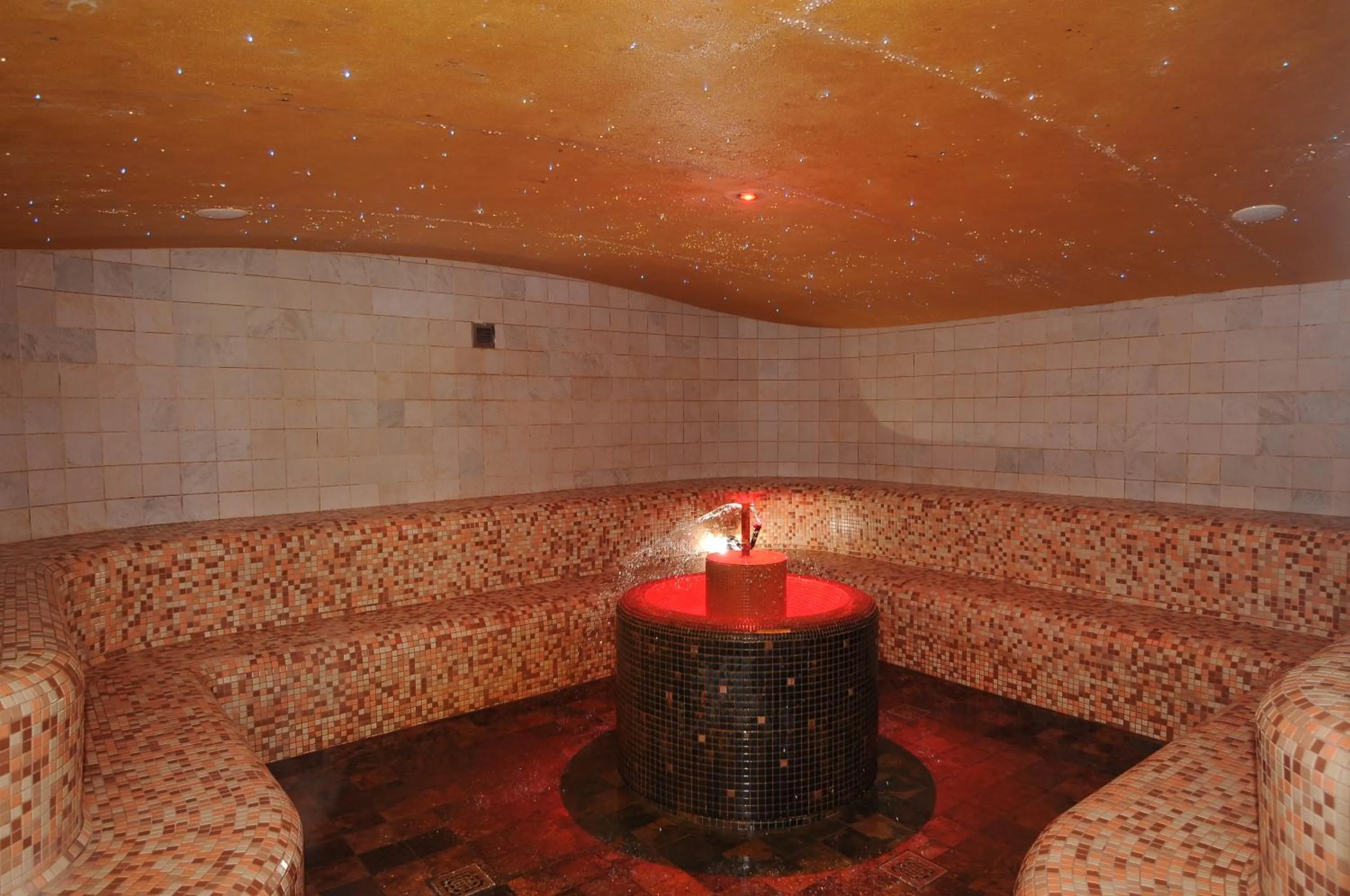 Steam room in Hotel Petrarca Terme