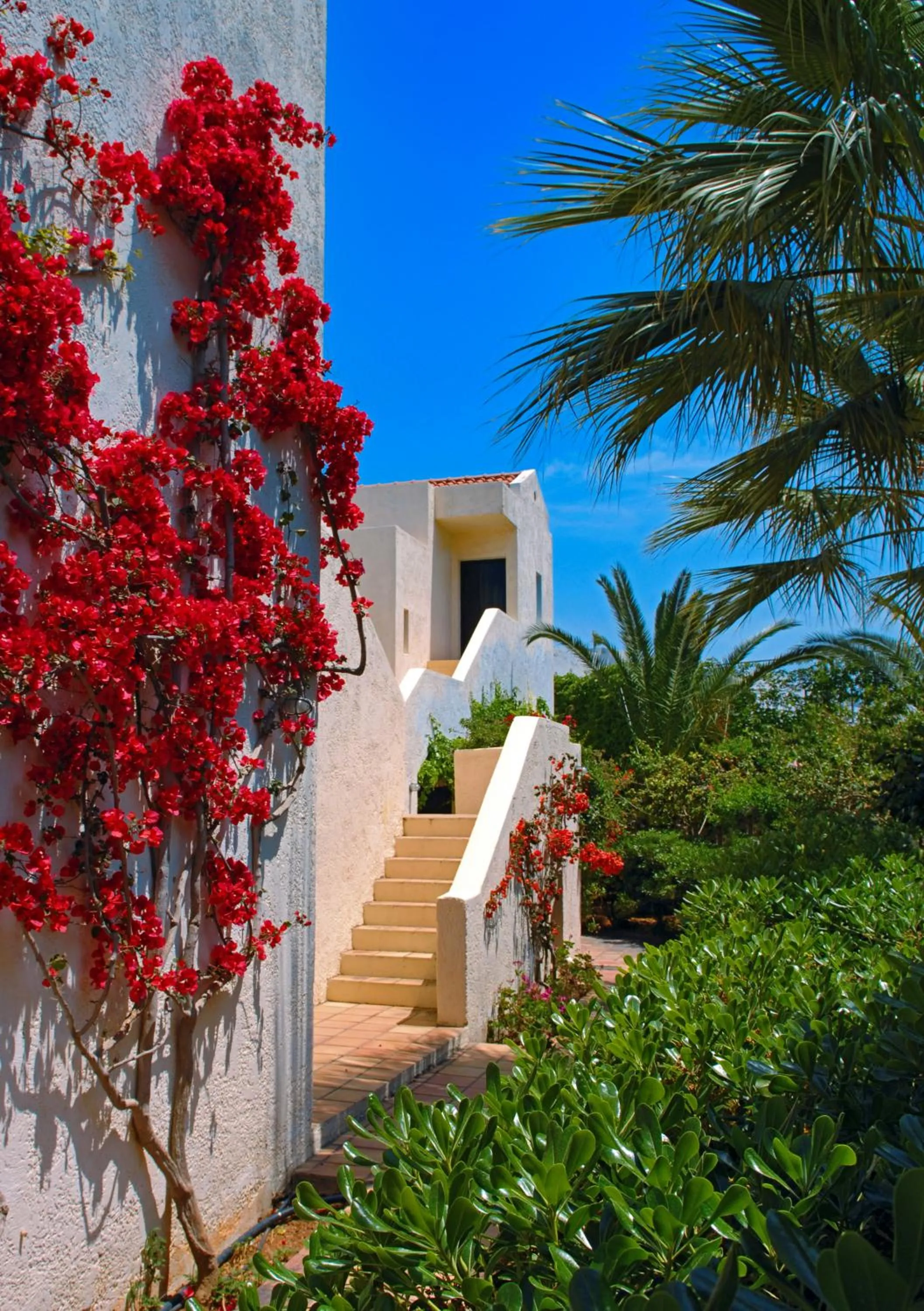 Garden in Sundance Apartments & Suites