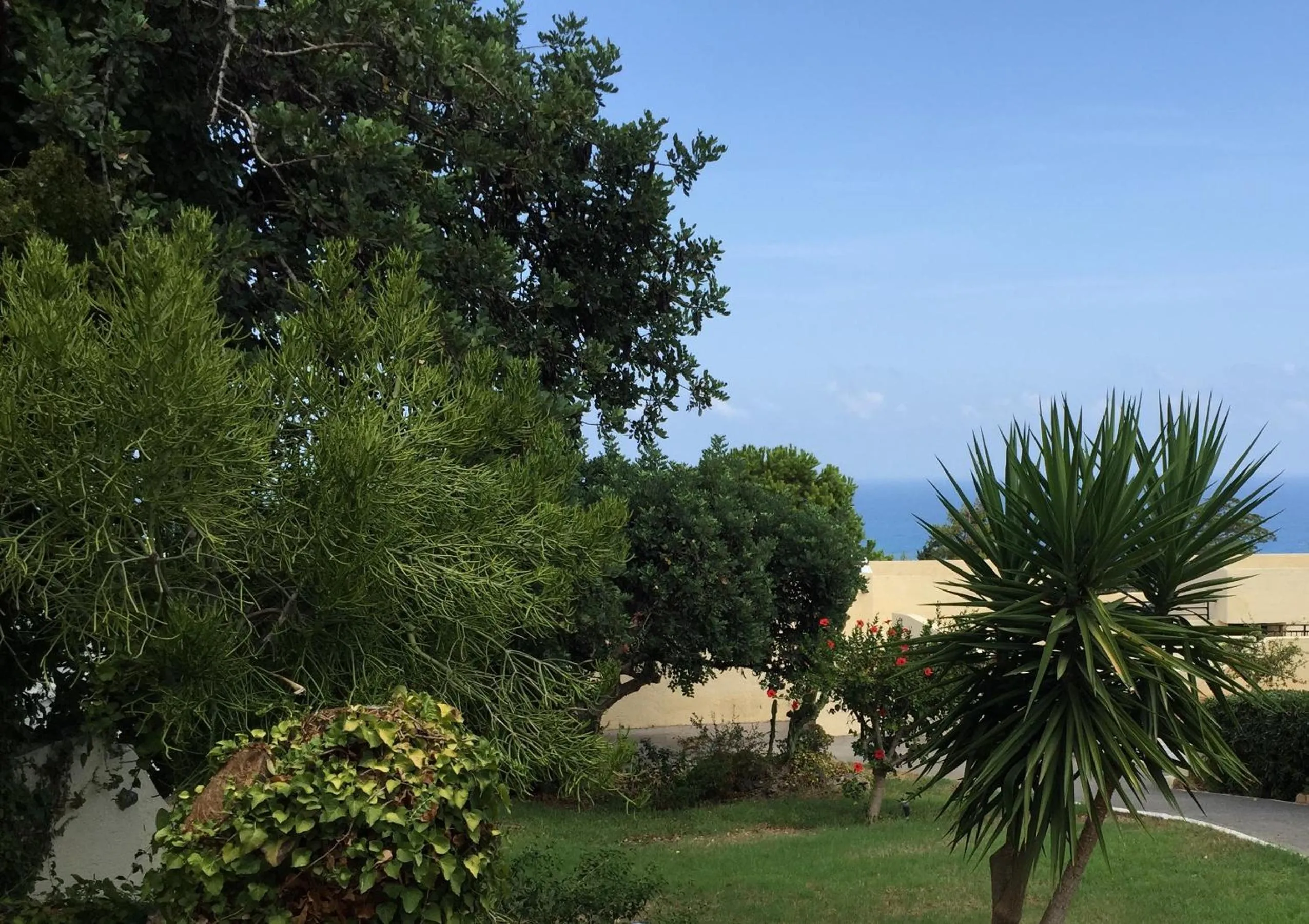 Garden in Sundance Apartments & Suites