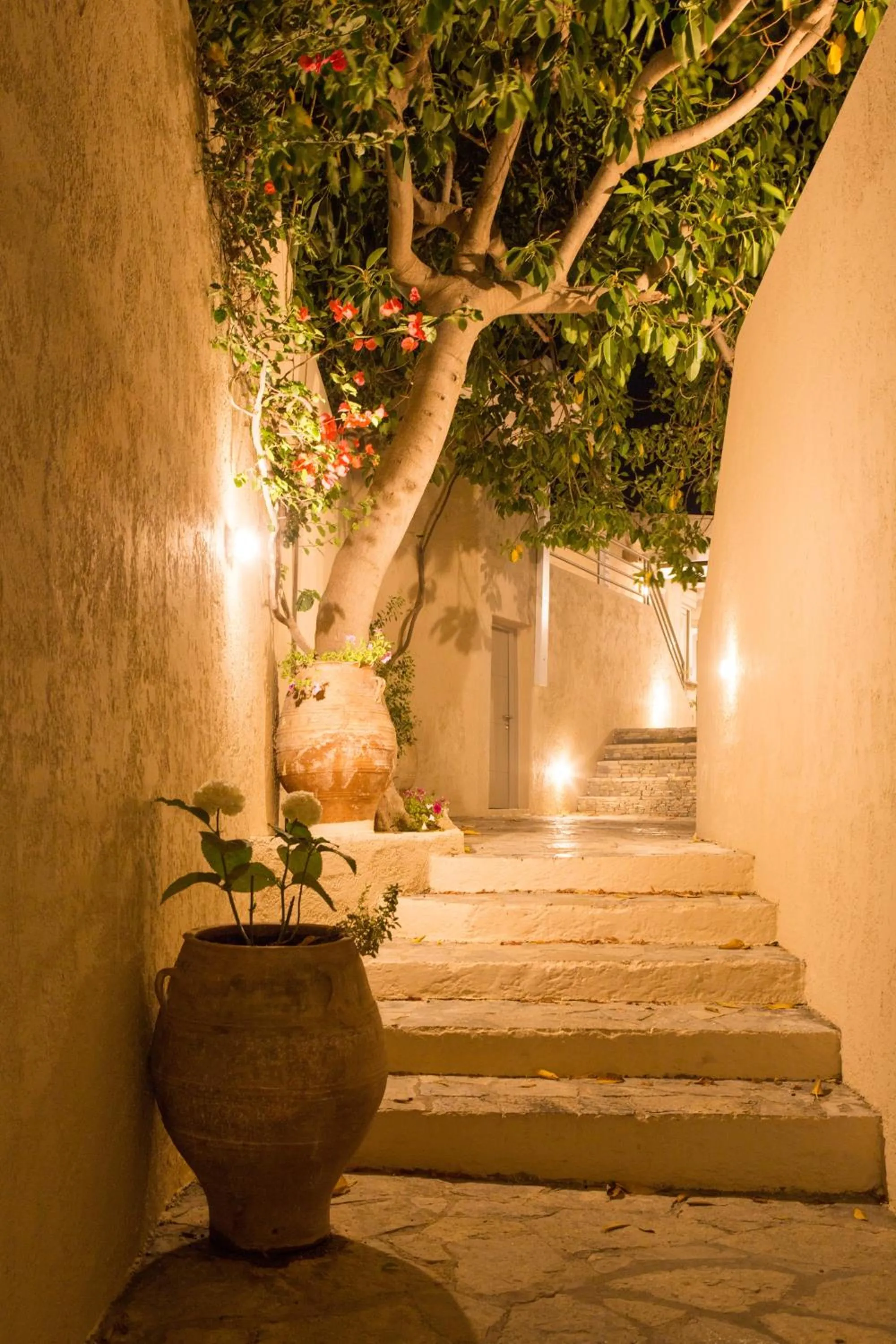 Night in Sundance Apartments & Suites