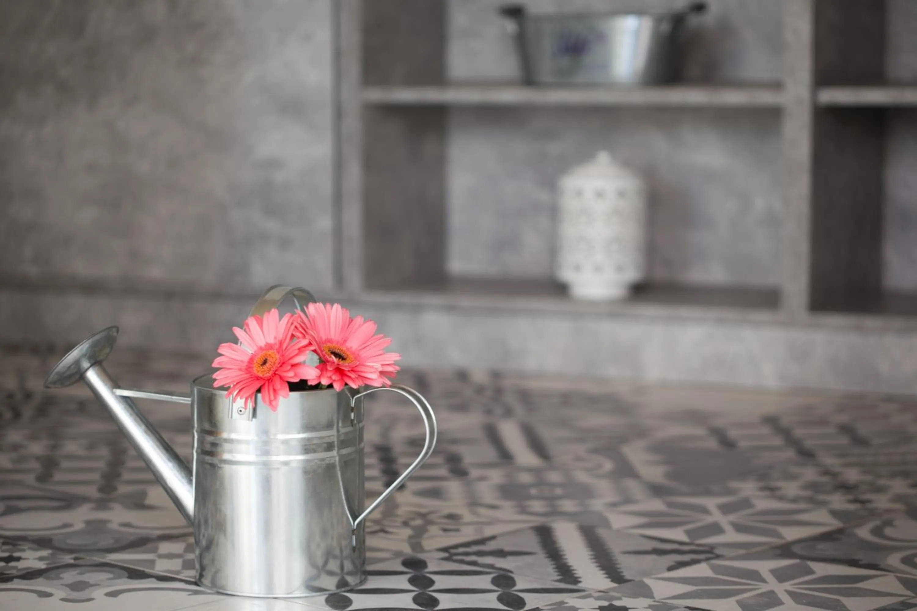 Lobby or reception in Sundance Apartments & Suites