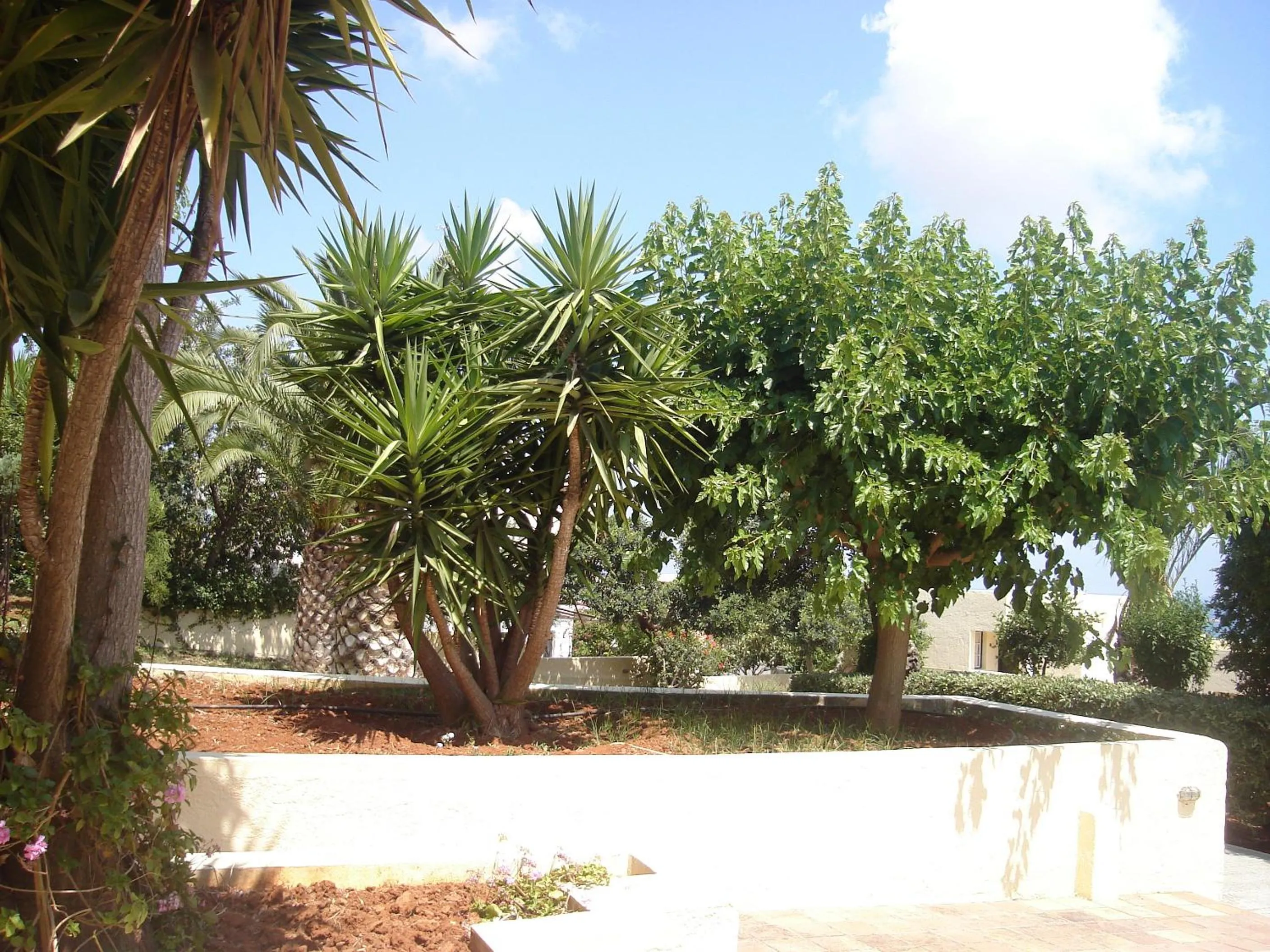 Garden in Sundance Apartments & Suites