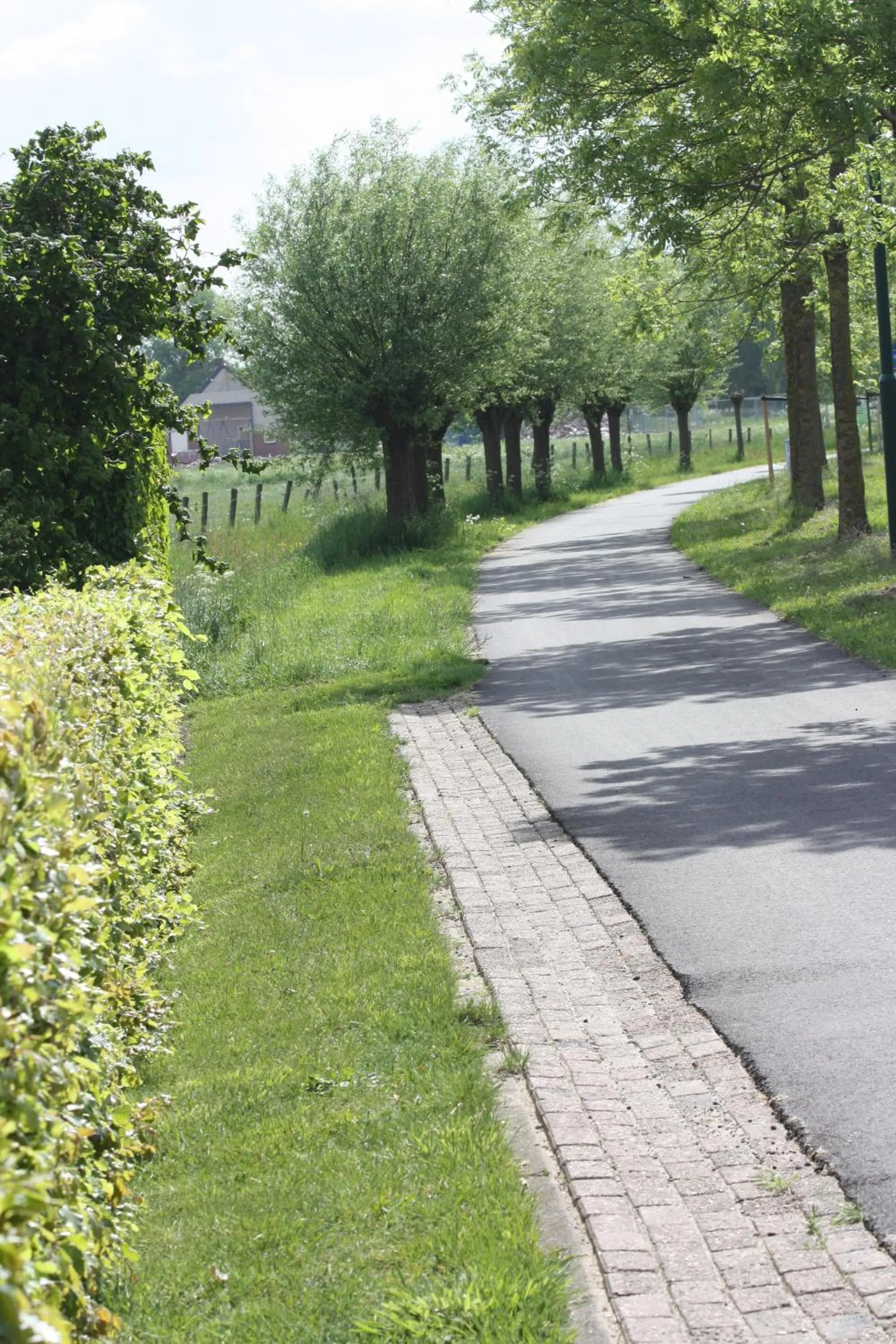 Neighbourhood in Logerenbijonsz