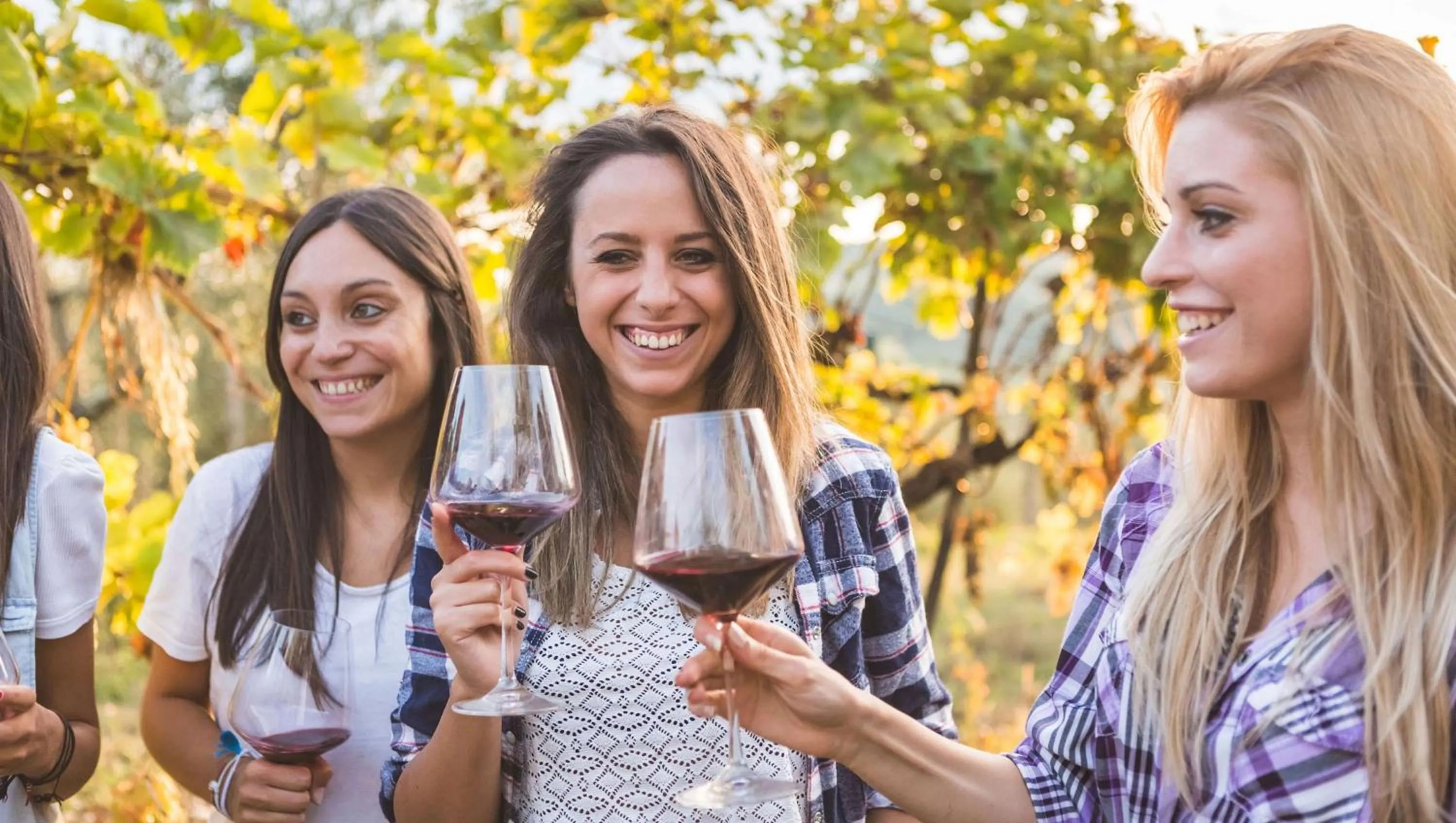 Nearby landmark in Magnuson Hotel Bradenton