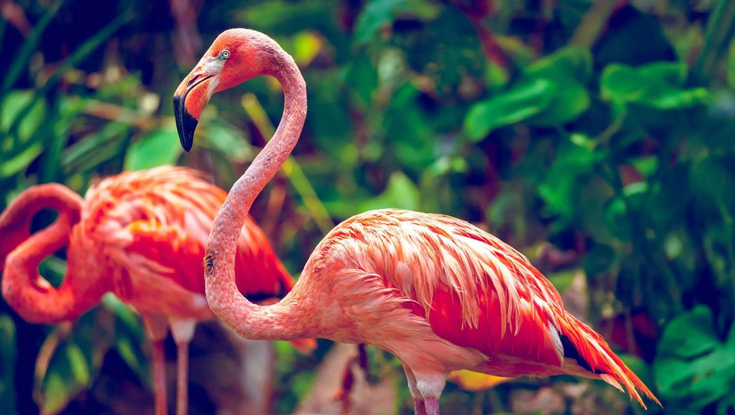 Nearby landmark in Magnuson Hotel Bradenton