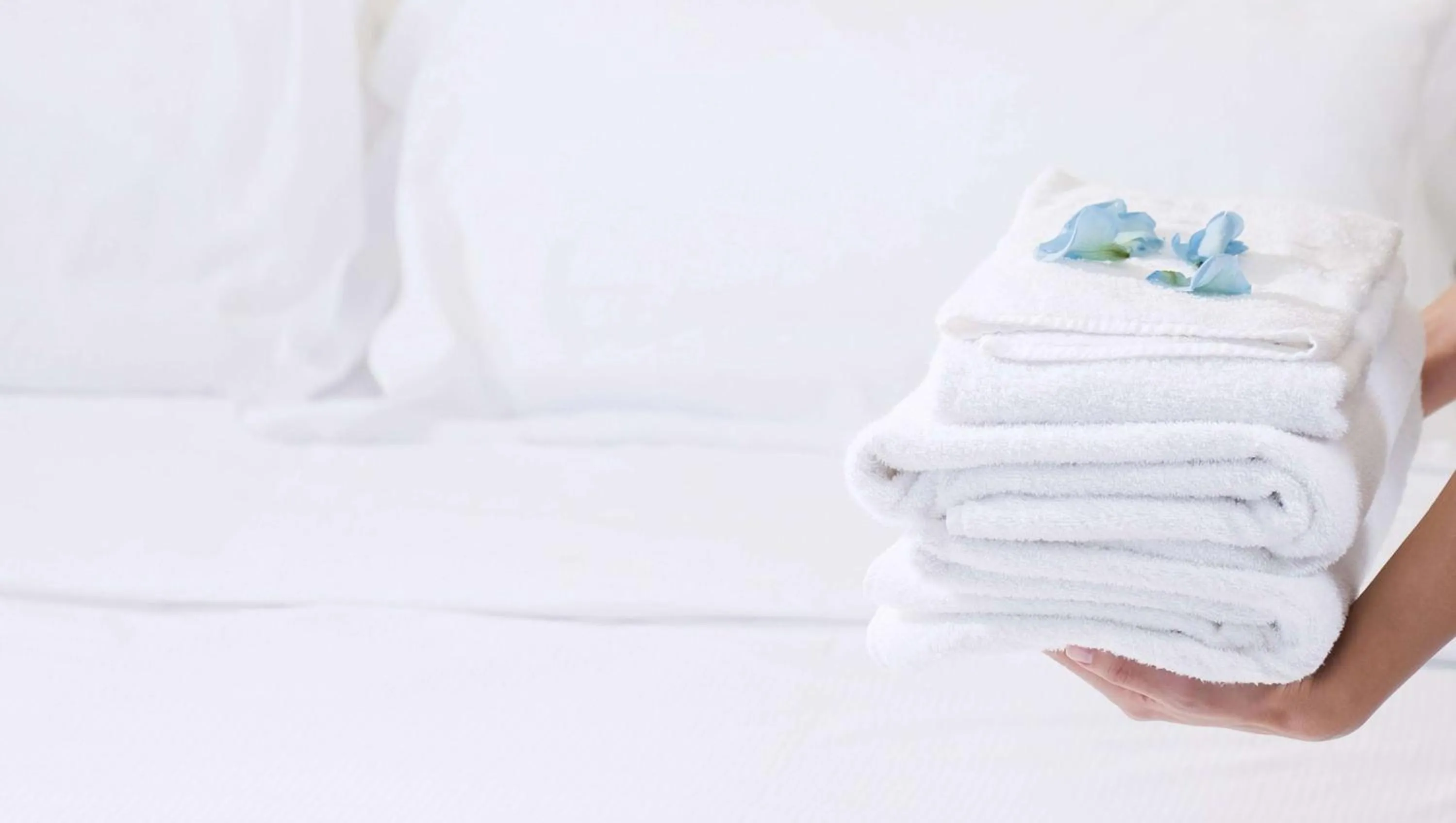 Photo of the whole room in Magnuson Hotel Bradenton