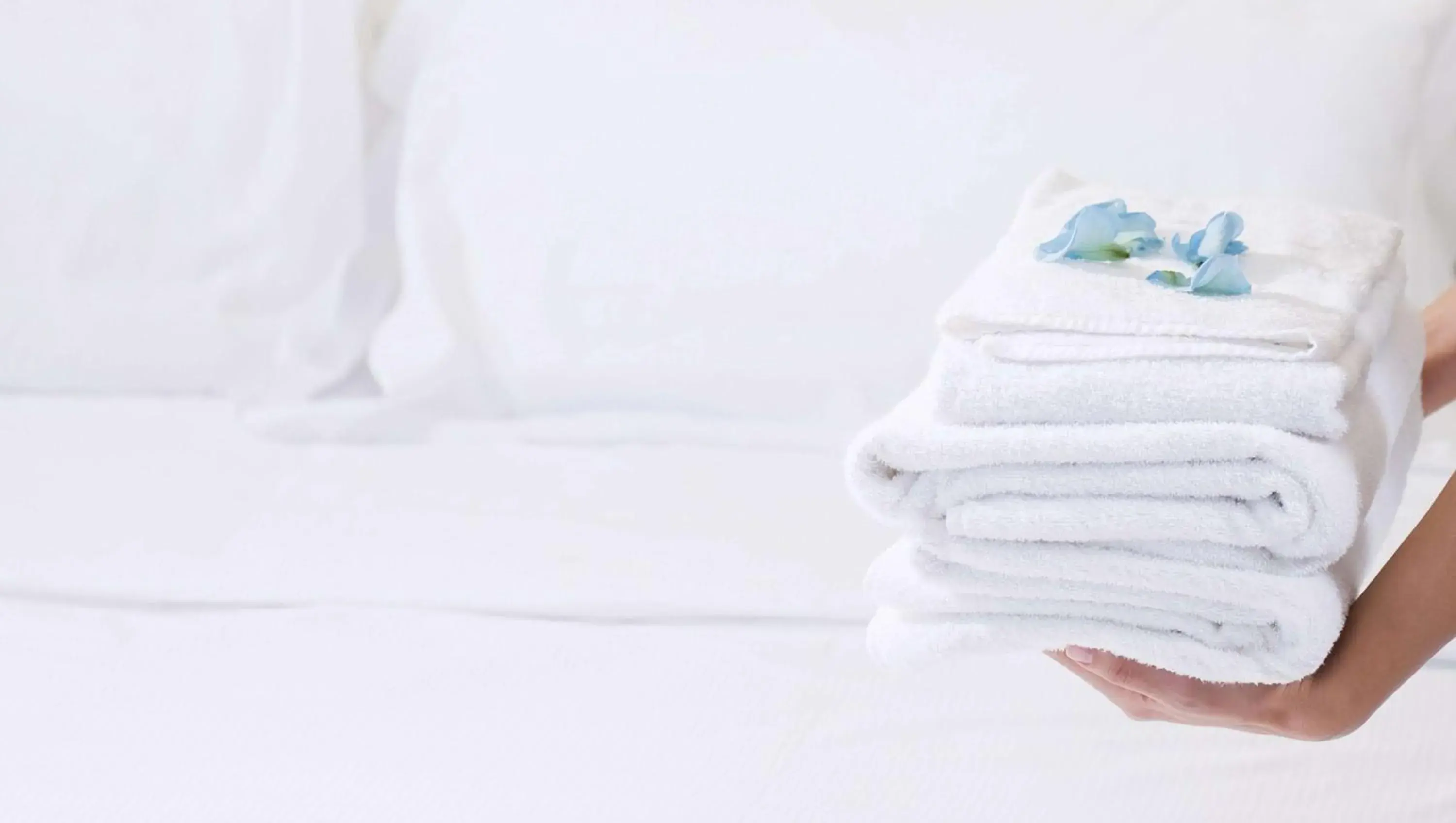 Double Room with Two Double Beds - Non-Smoking in Magnuson Hotel Bradenton Double Room with Two Double Beds - Non-Smoking in Magnuson Hotel Bradenton