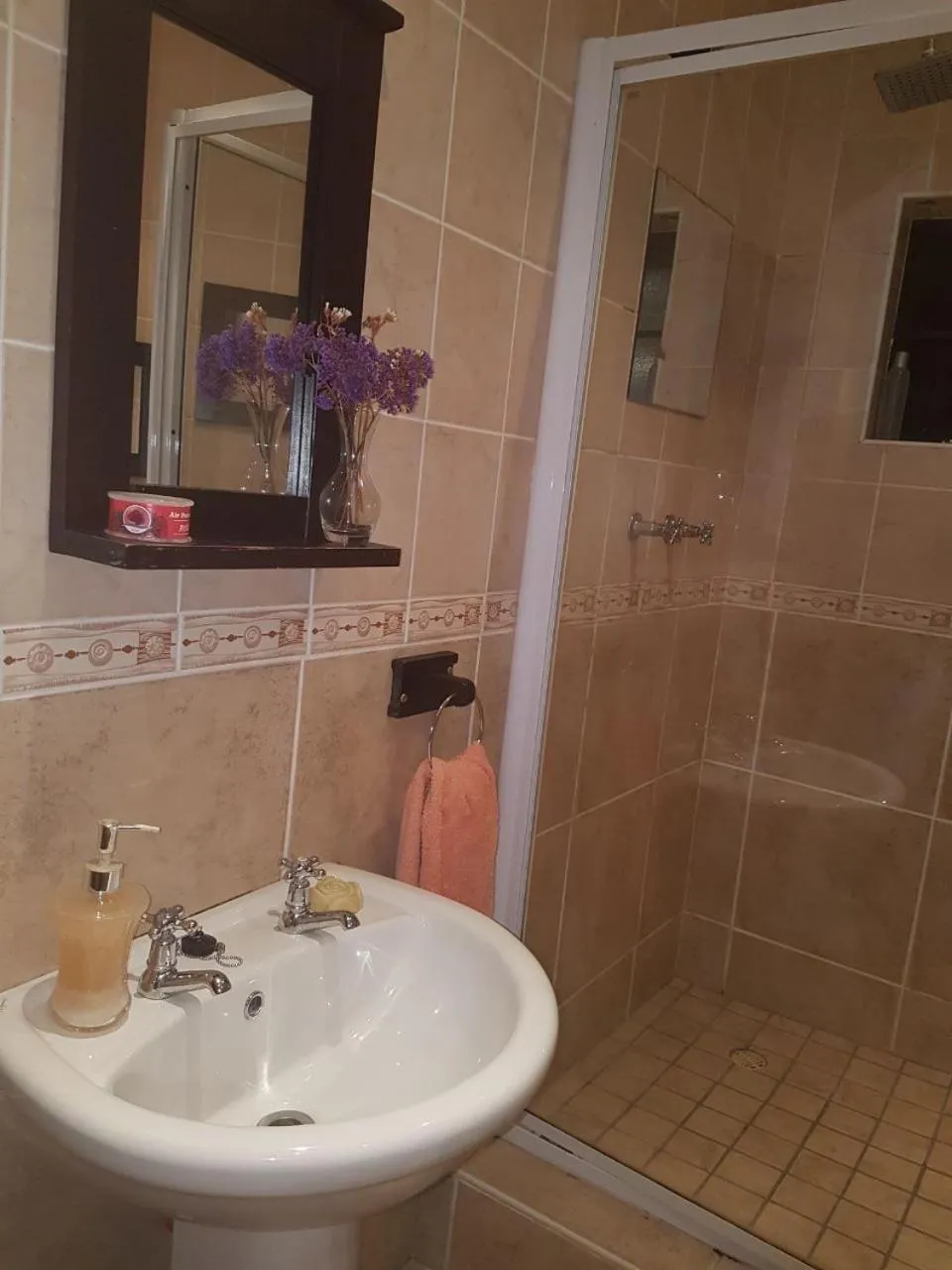 Bathroom in Eagle's Rest