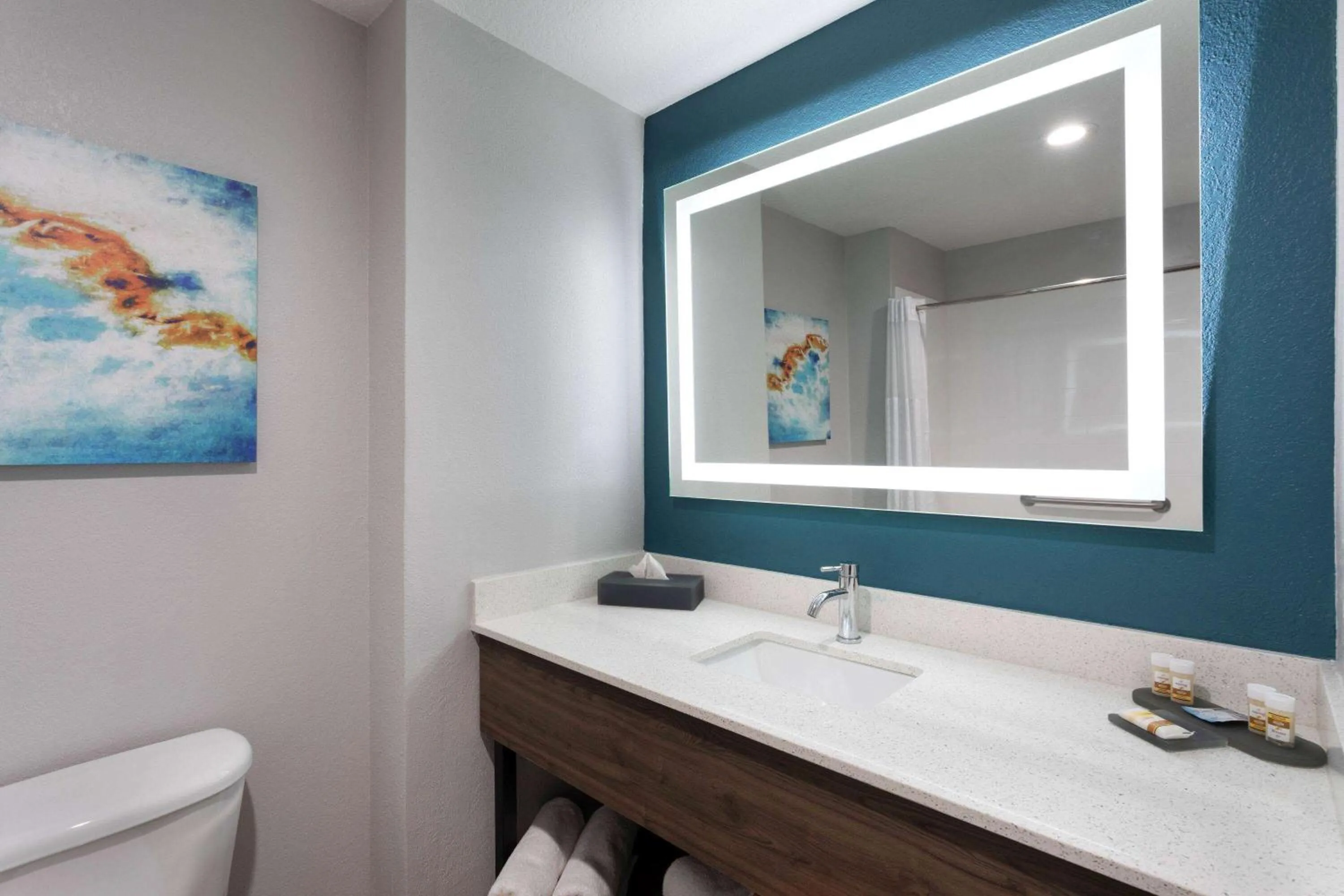 Bathroom in La Quinta by Wyndham Tampa Central