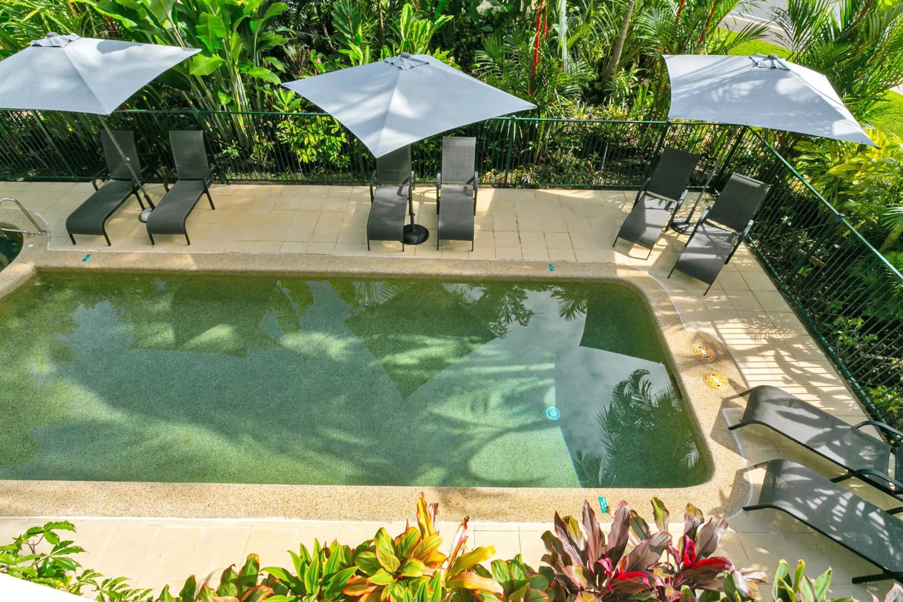 Swimming pool in Port Douglas Apartments - Adults Only Oasis