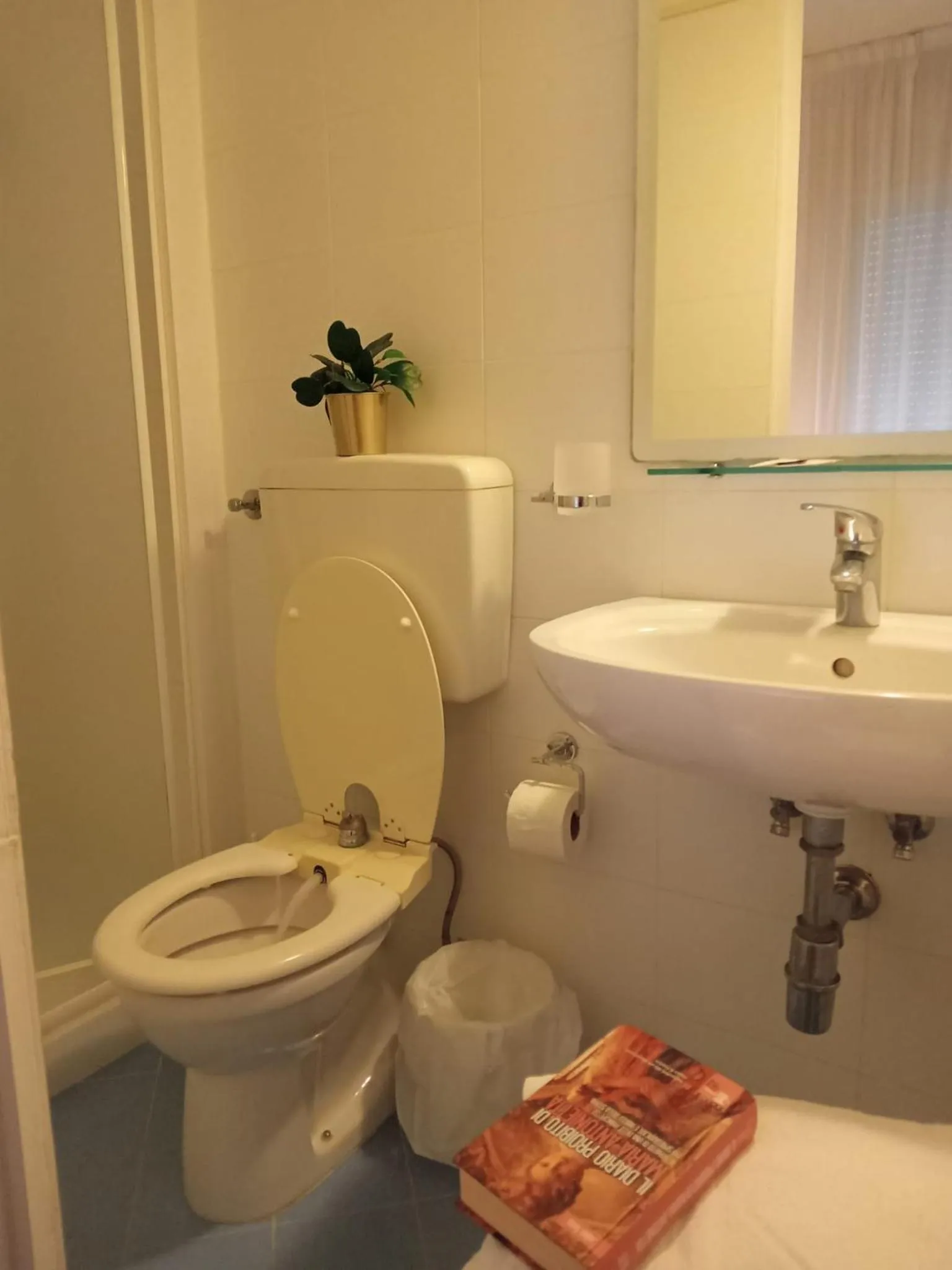 Toilet in Hotel Haiti