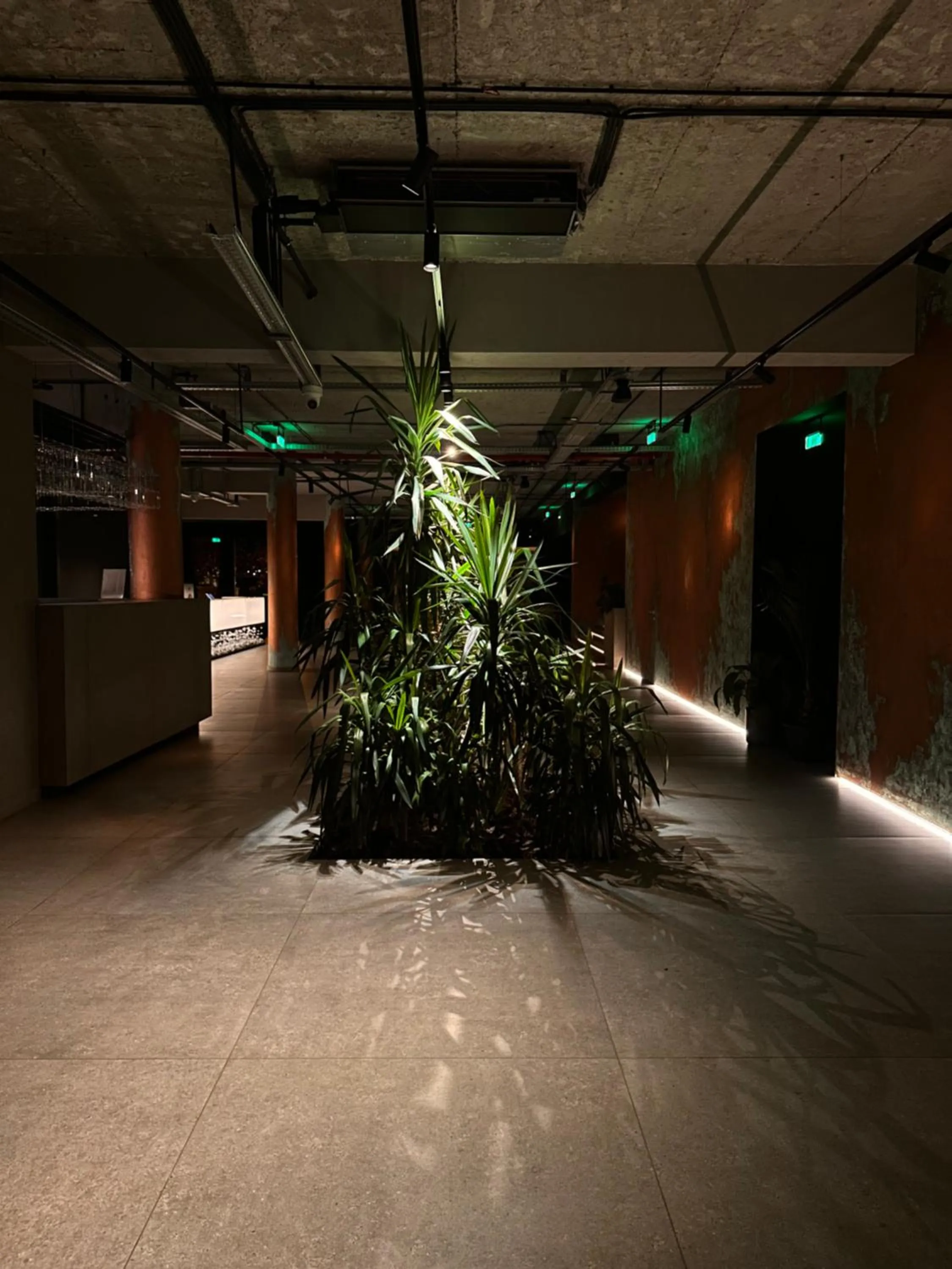 Night in Hotel Doina