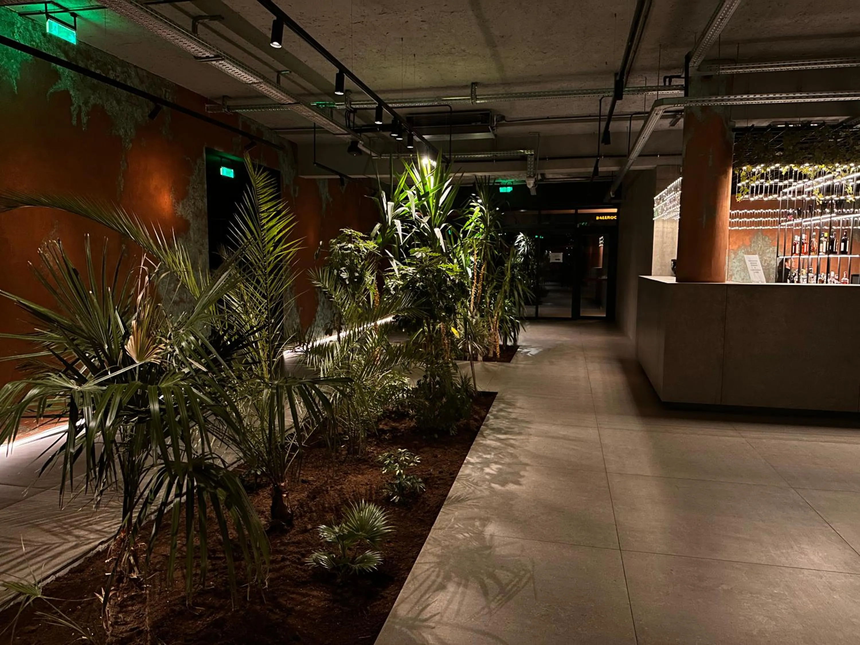 Garden in Hotel Doina