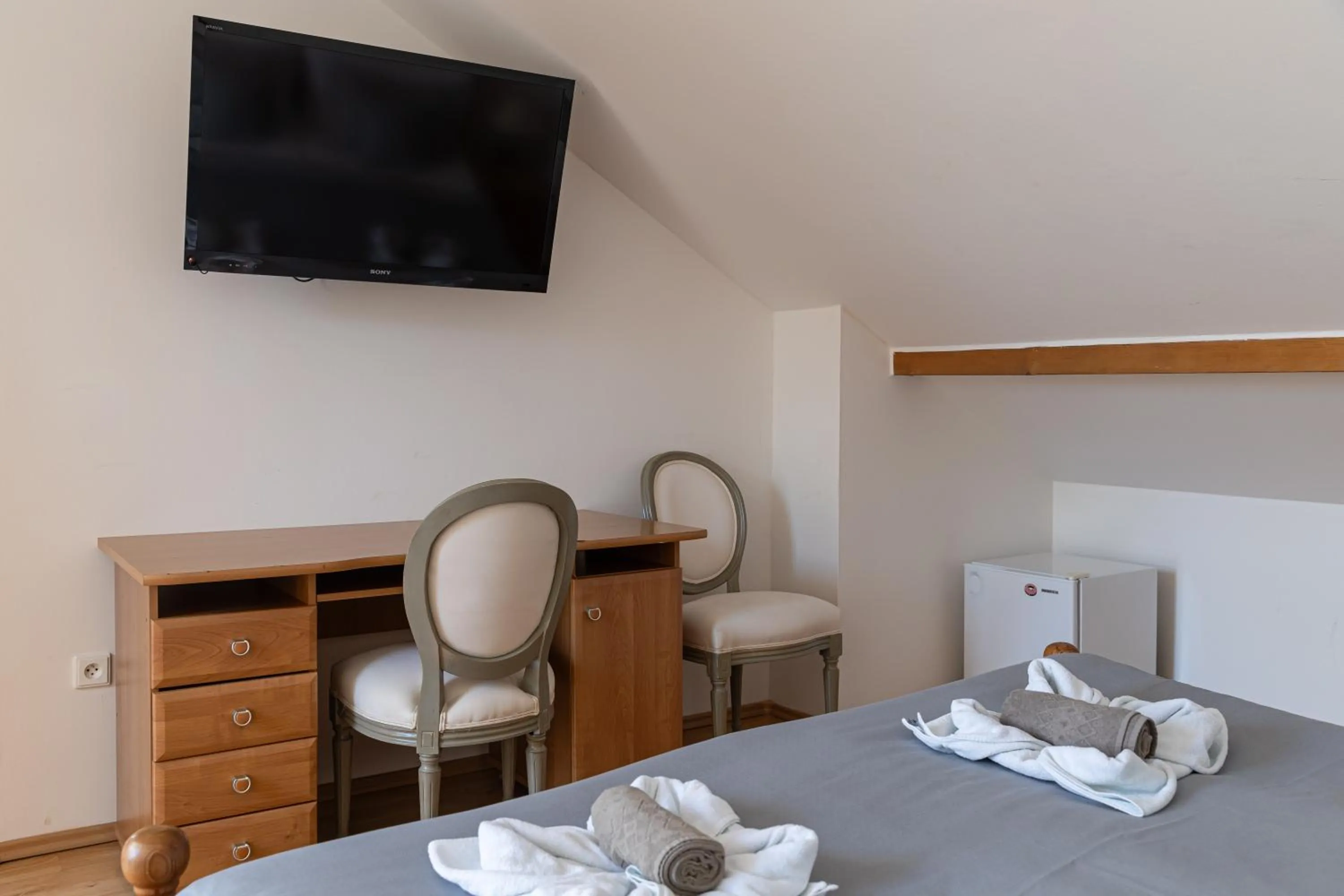 TV and multimedia in Hotel Zámeček Janovičky