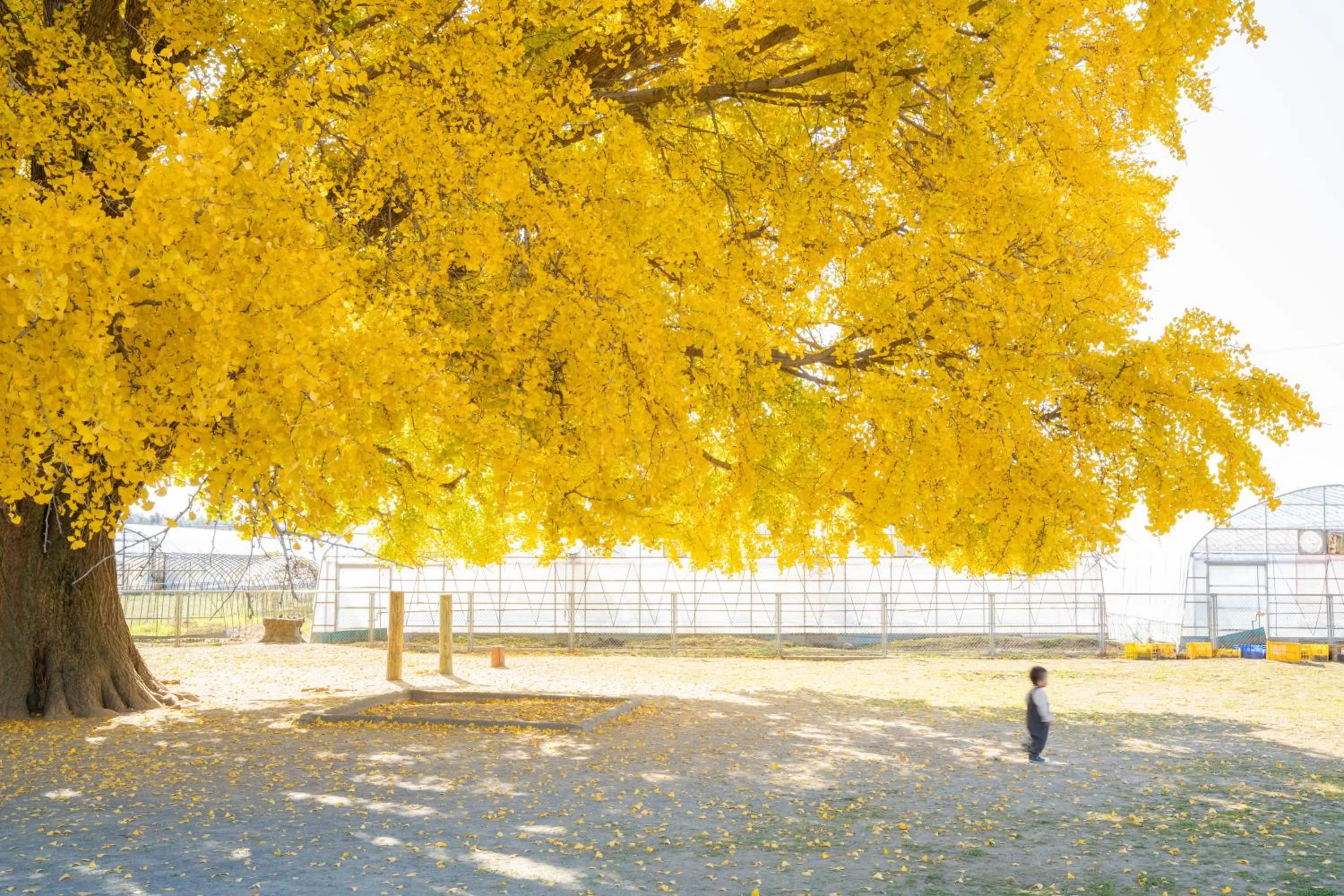 Nearby landmark in Hotel Associa Toyohashi