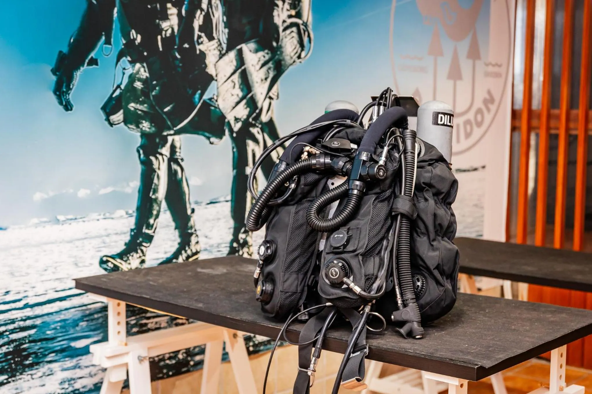 Diving in Hotel Lysekil