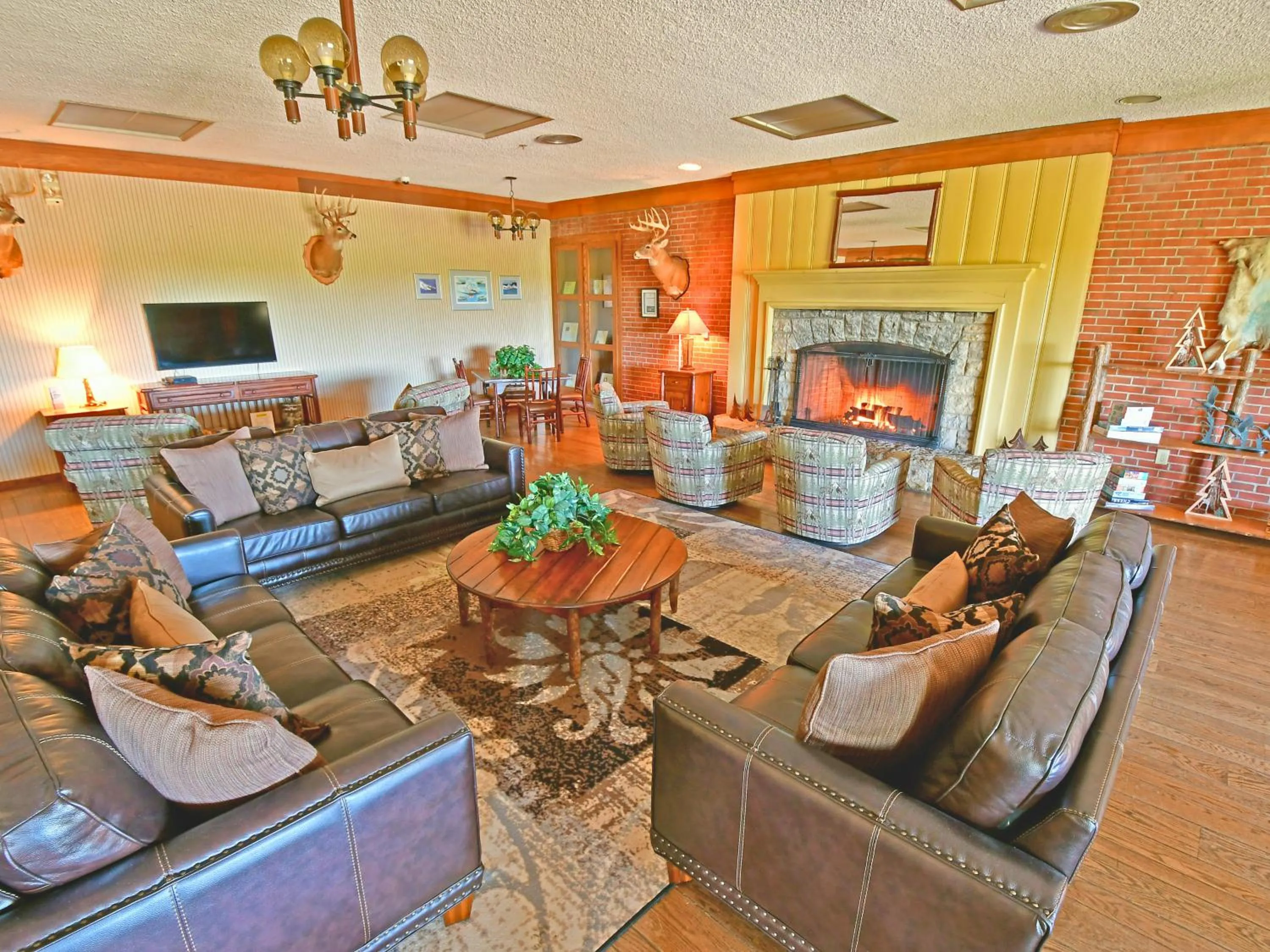 Communal lounge/ TV room in Clifty Inn