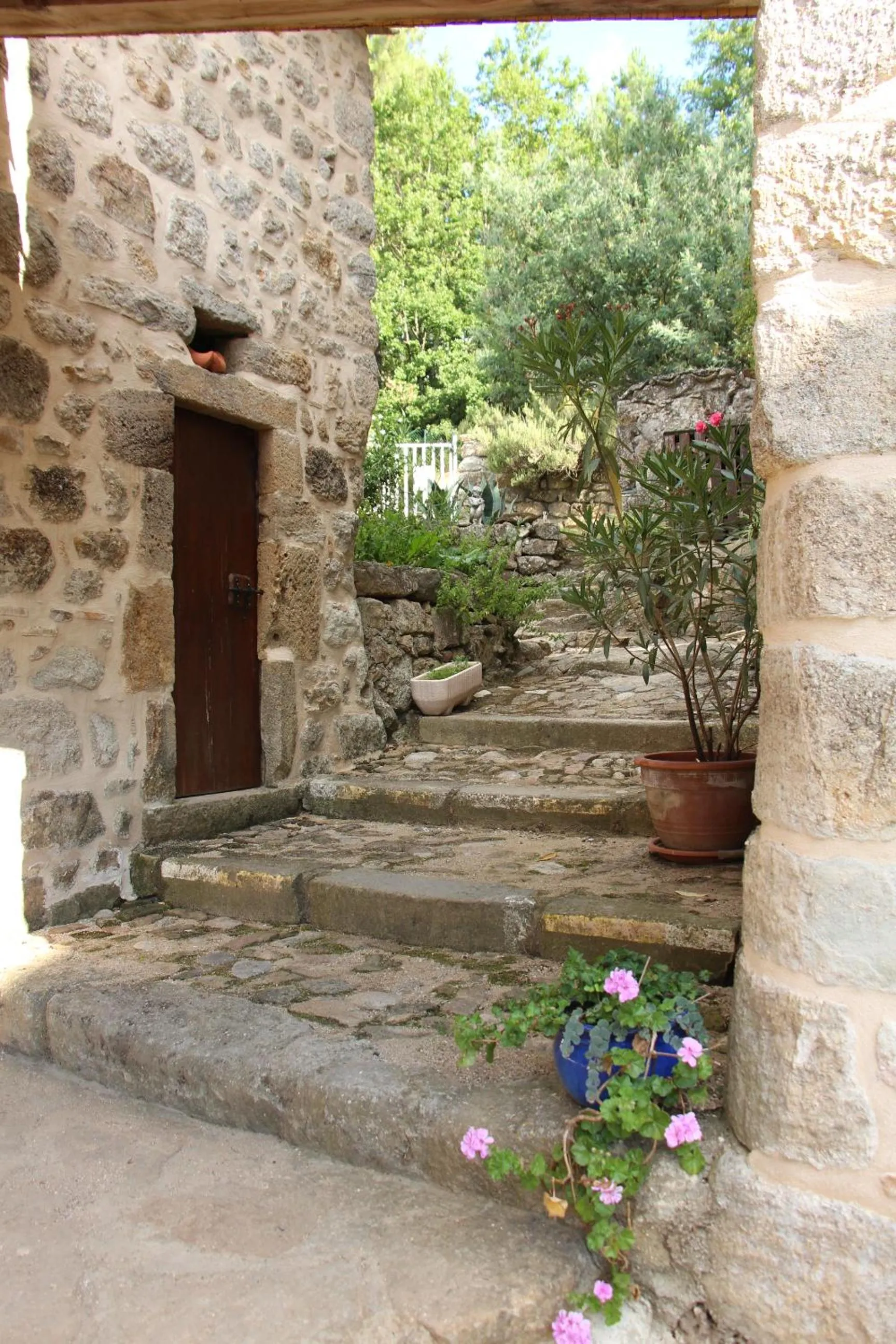 Garden in Le Mas de Magnaou